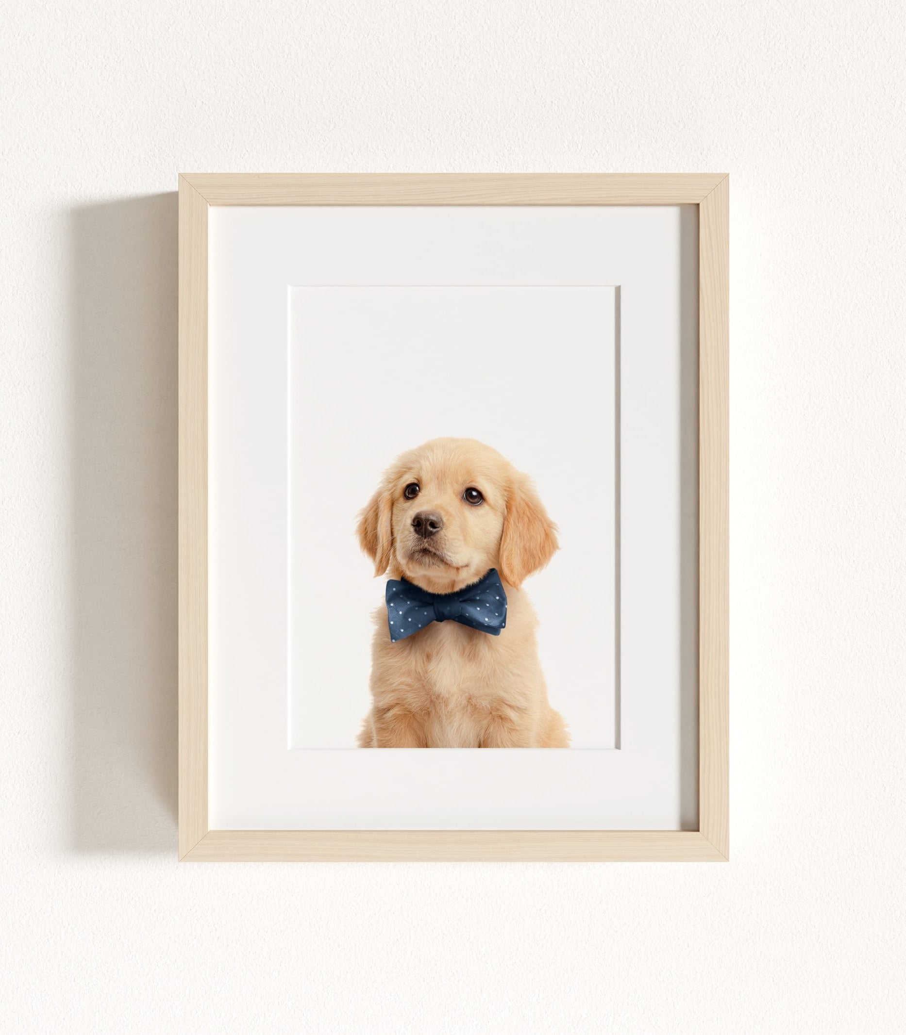 The Baby Animals 2026 Collection - Bow Ties in Blue