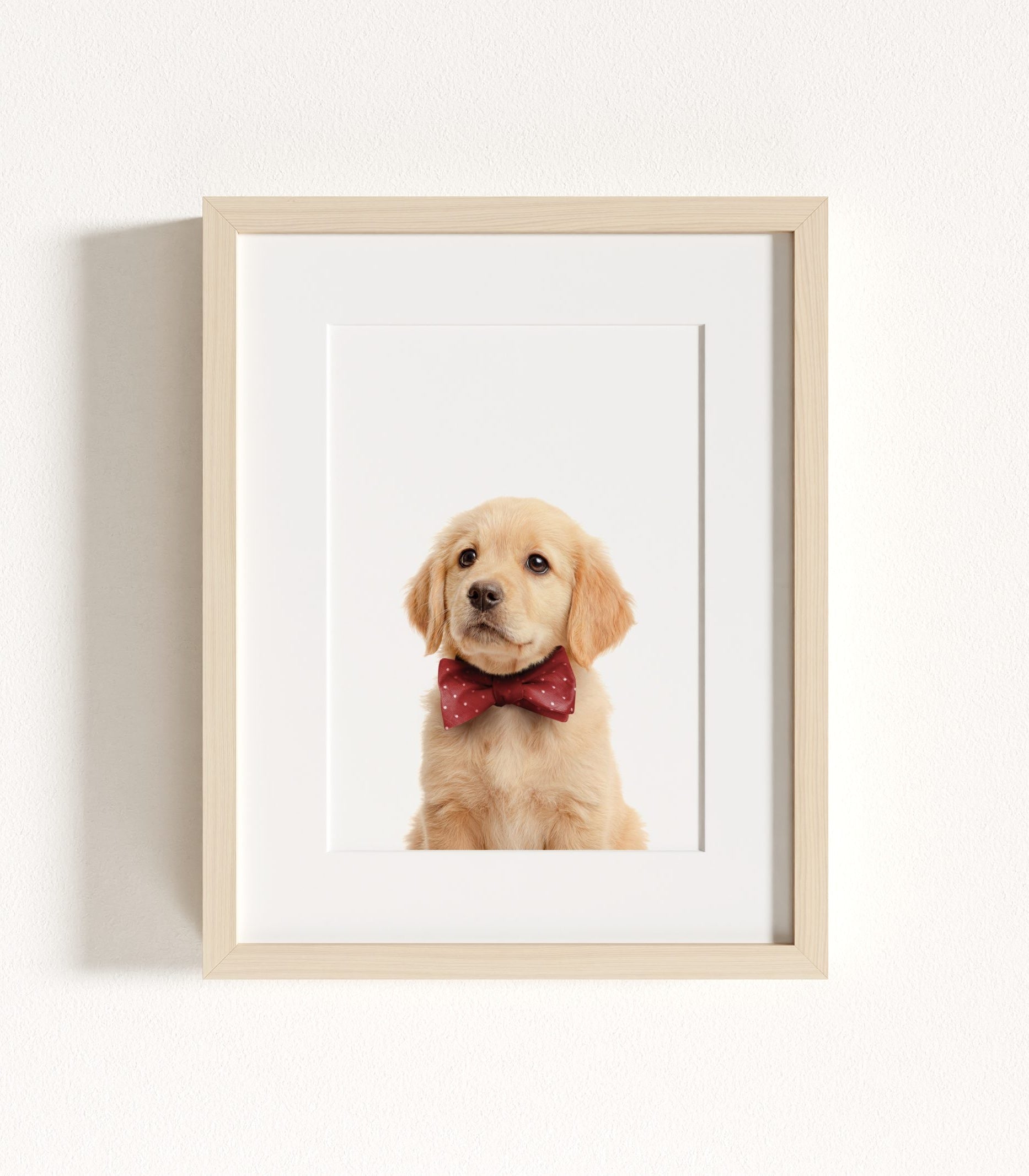 The Baby Animals 2026 Collection - Bow Ties