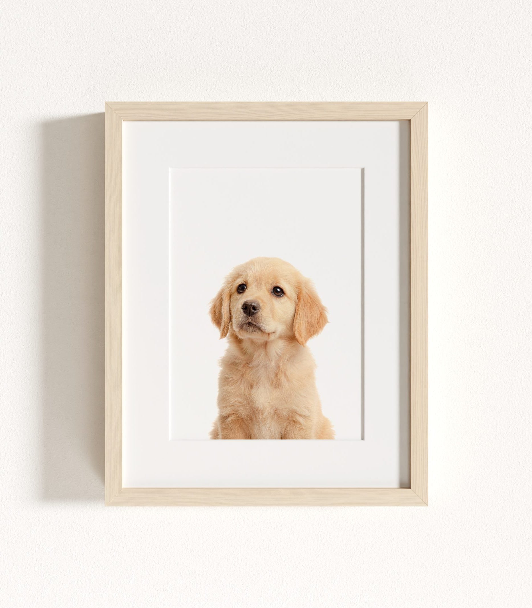 The Baby Animals 2026 Collection - Classic