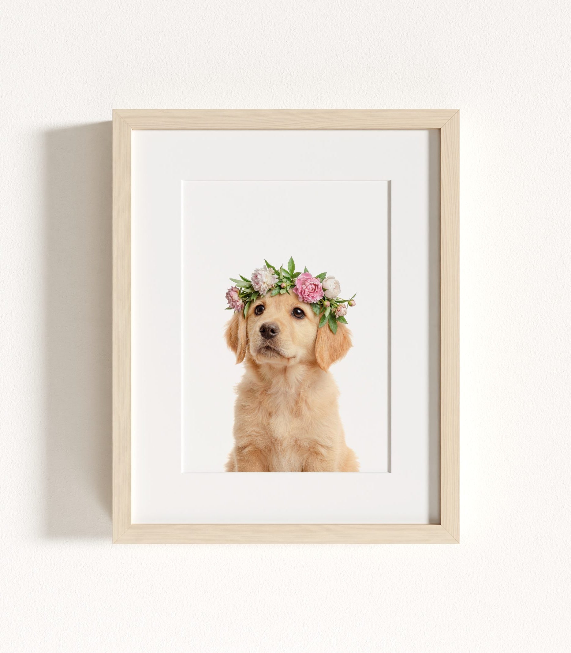 The Baby Animals 2026 Collection - Flower Crowns