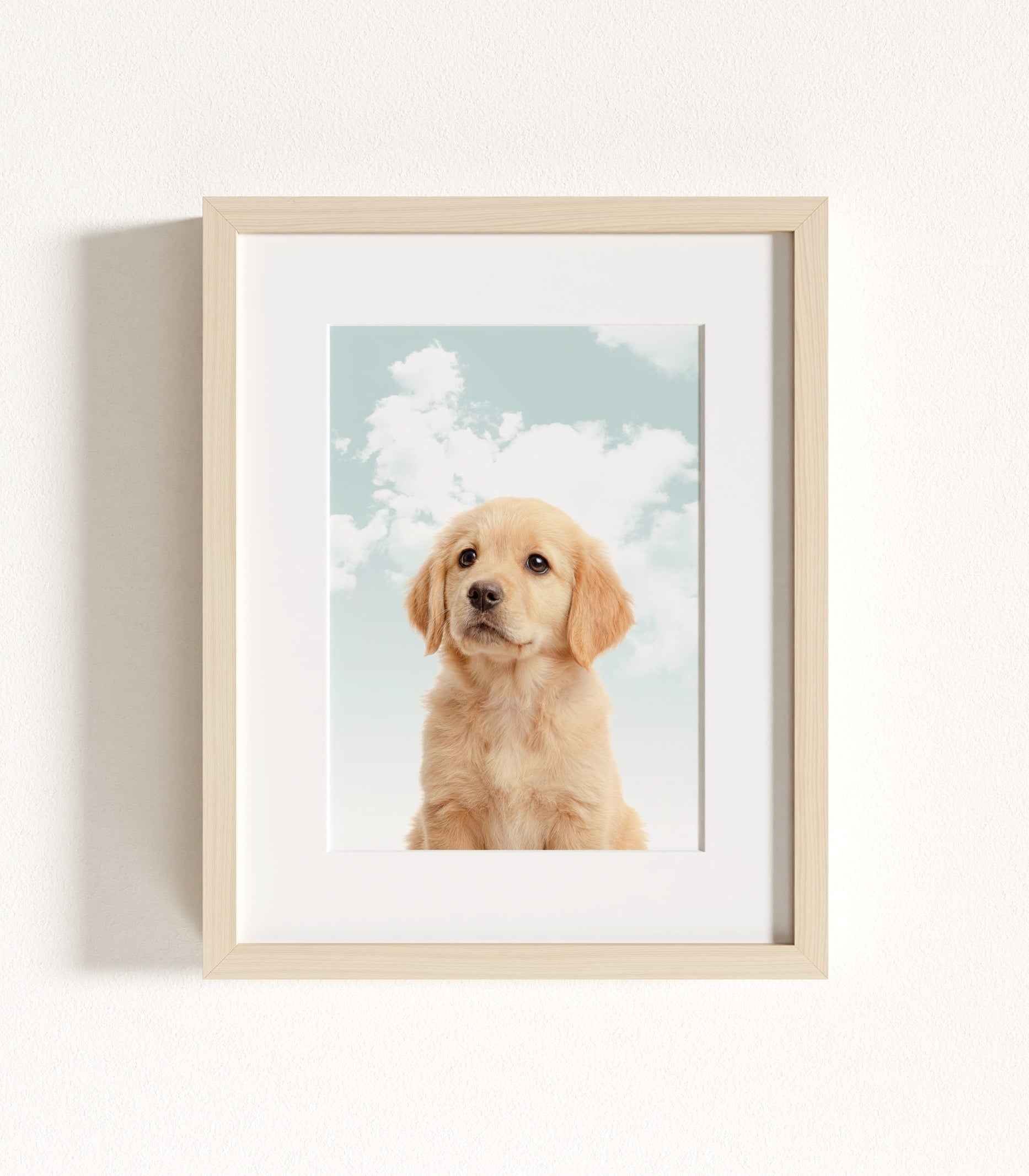 The Baby Animals 2026 Collection - Blue Skies