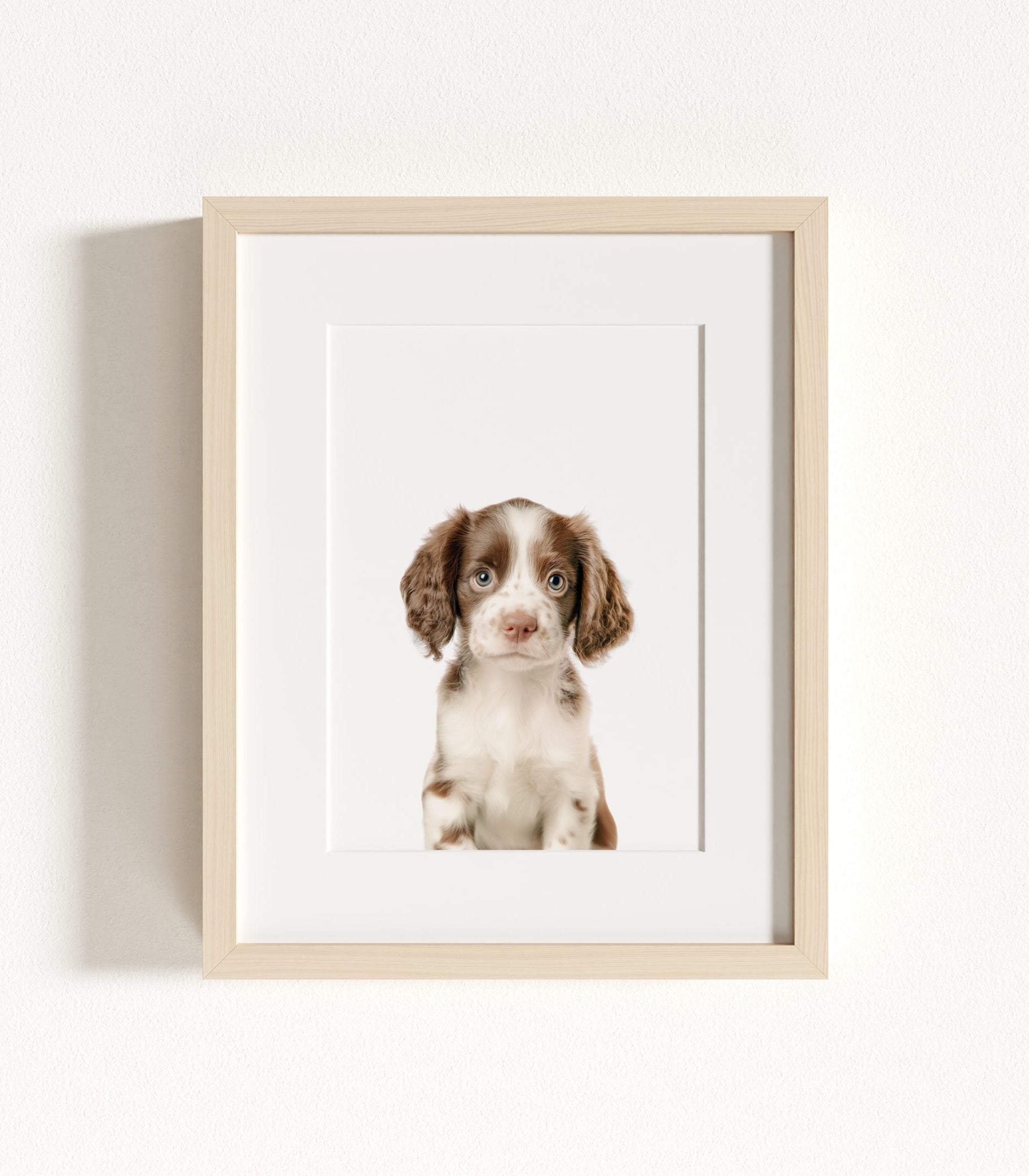 The Baby Animals 2026 Collection - Classic