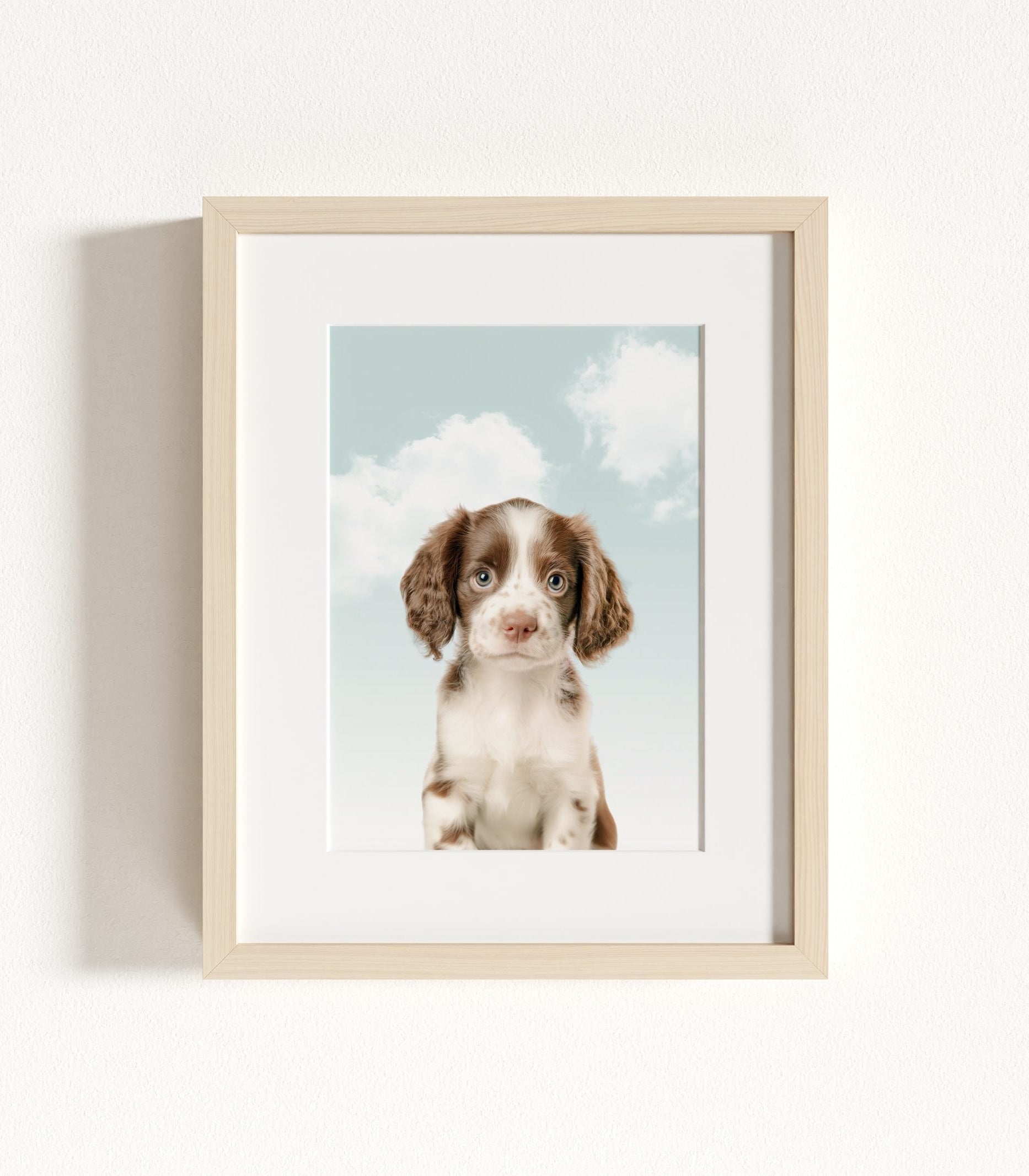 The Baby Animals 2026 Collection - Blue Skies