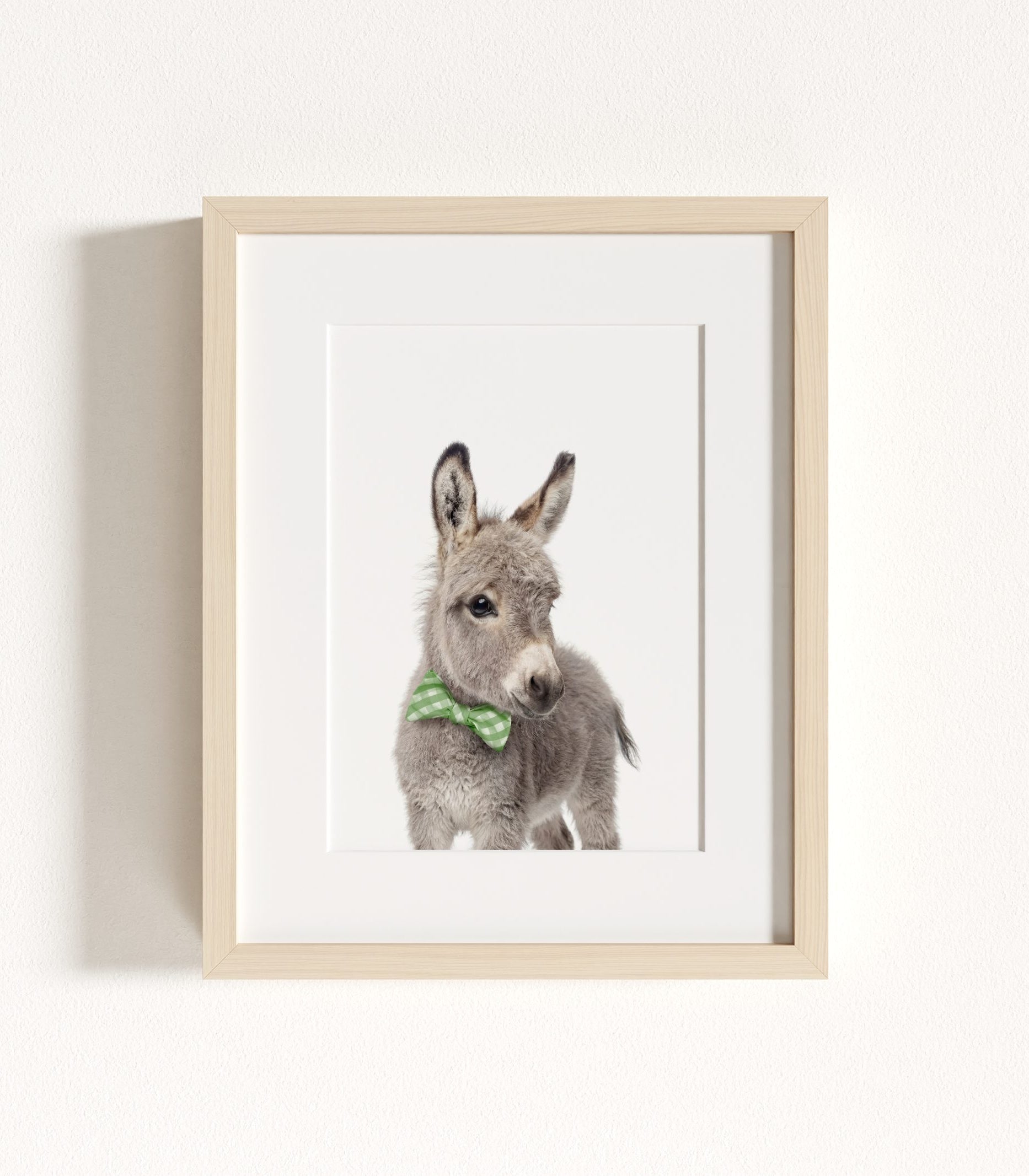 The Baby Animals 2026 Collection - Bow Ties