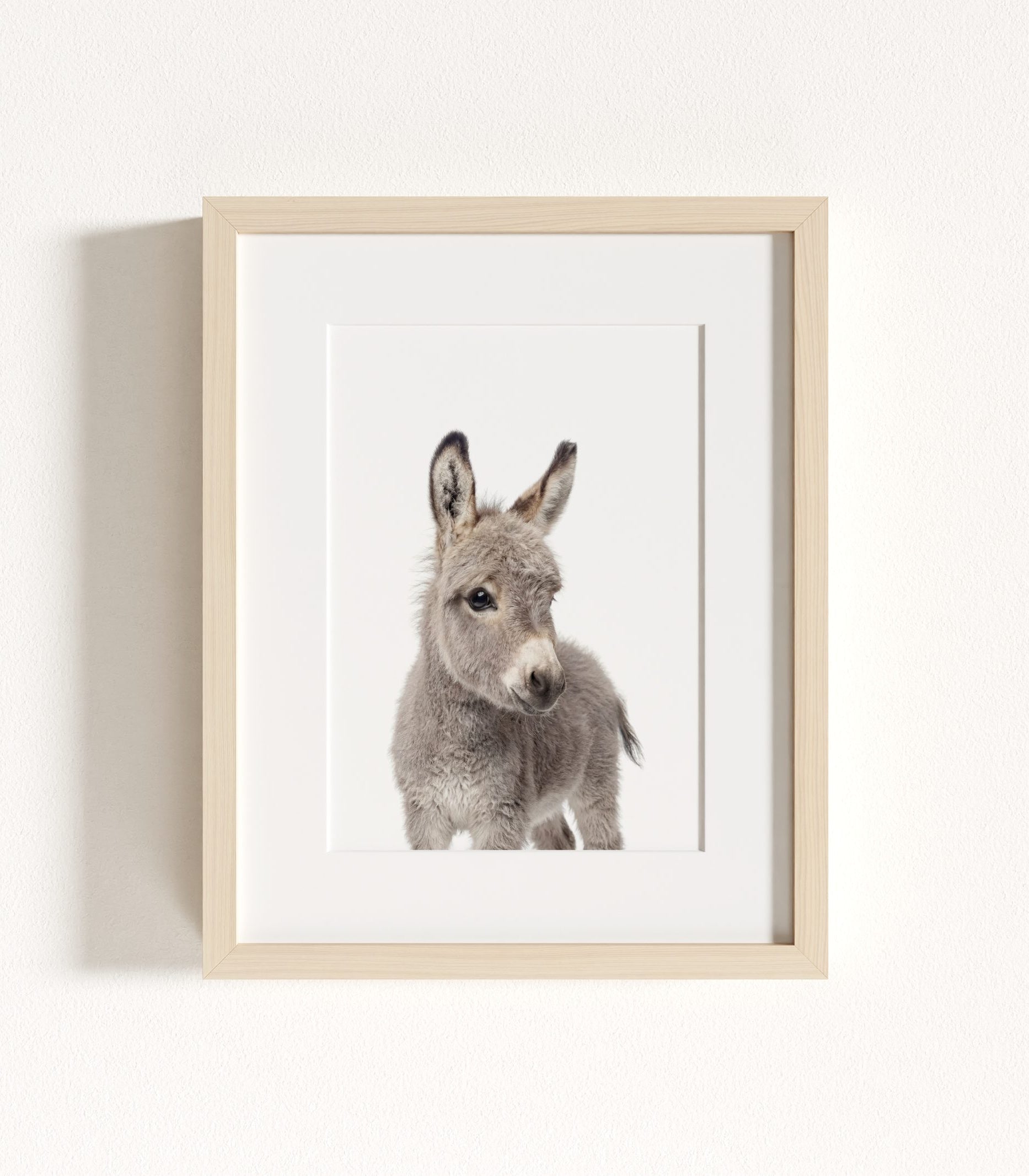 The Baby Animals 2026 Collection - Classic