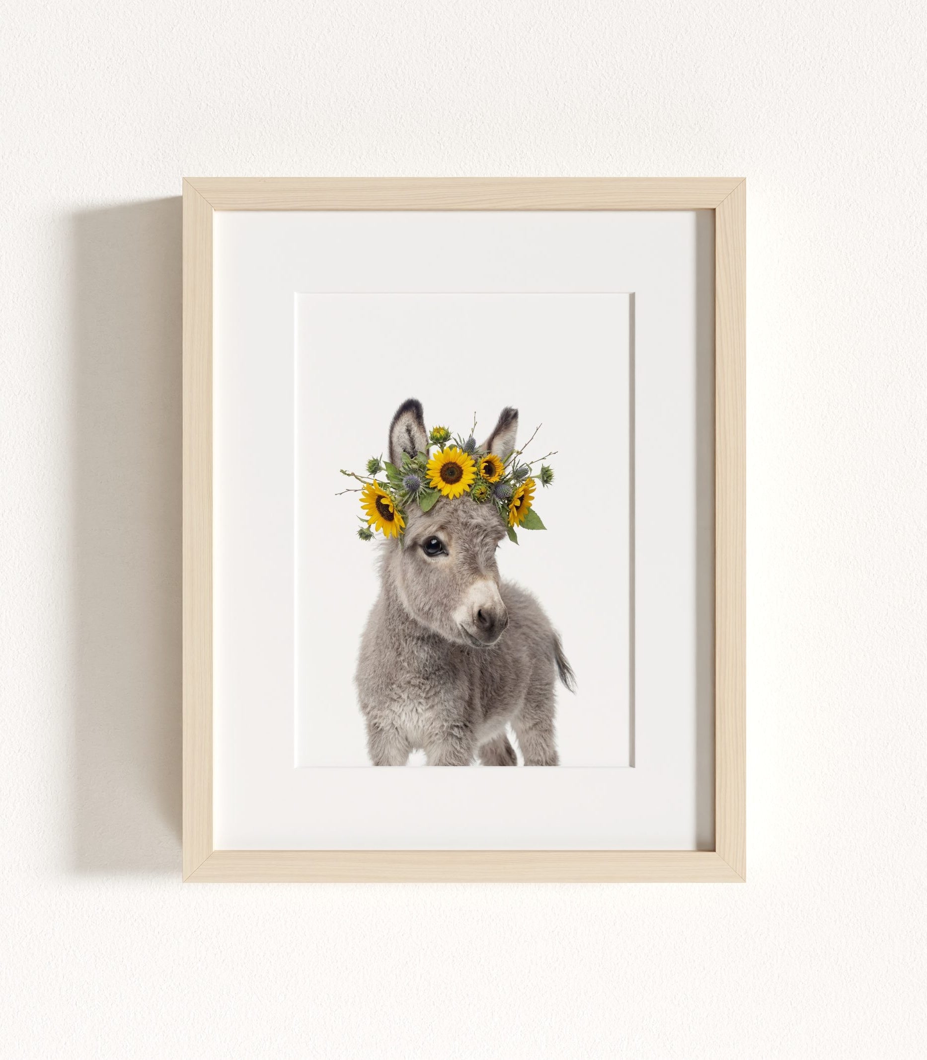 The Baby Animals 2026 Collection - Flower Crowns