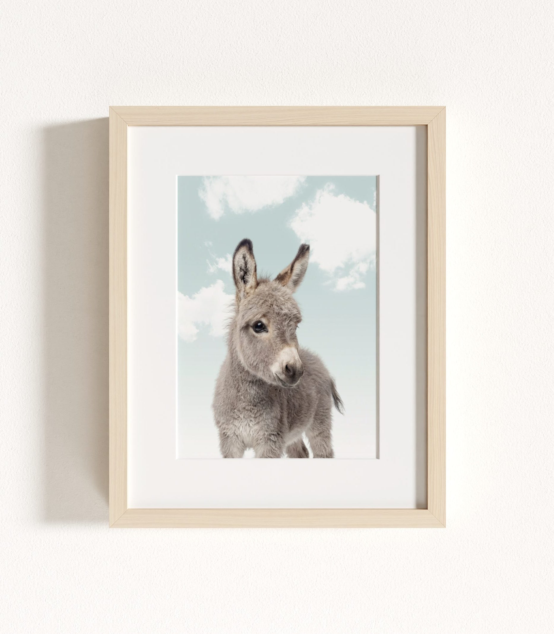 The Baby Animals 2026 Collection - Blue Skies