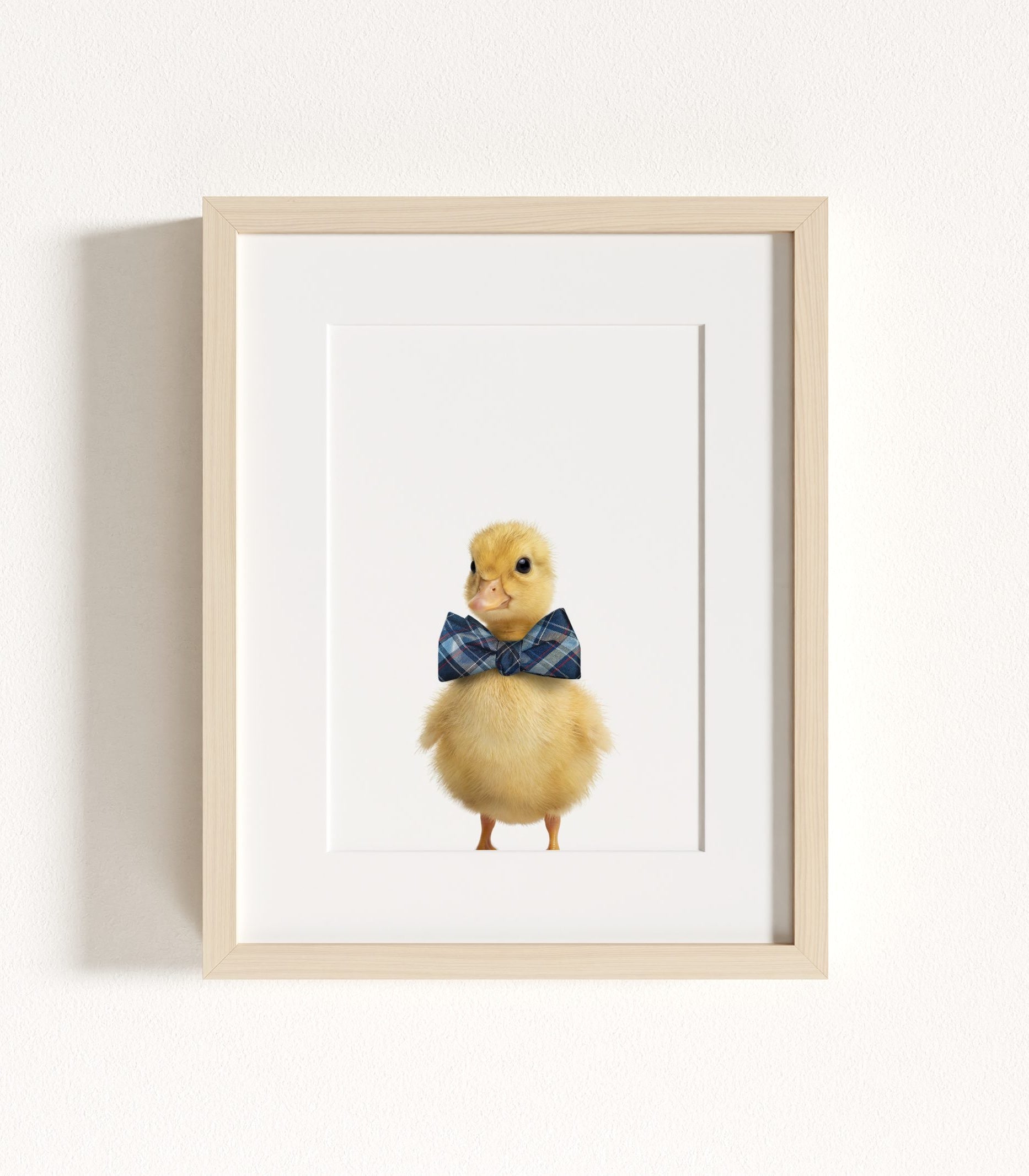 The Baby Animals 2026 Collection - Bow Ties