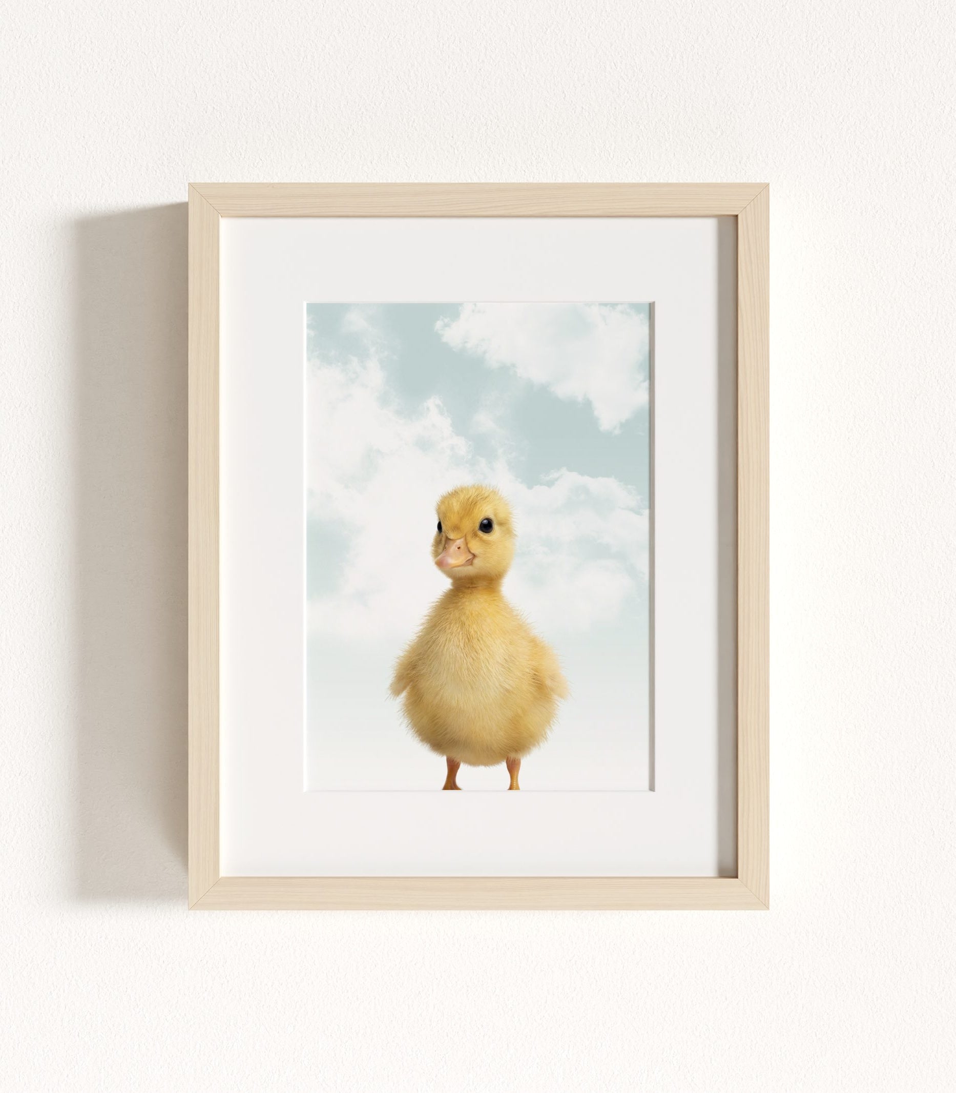 The Baby Animals 2026 Collection - Blue Skies