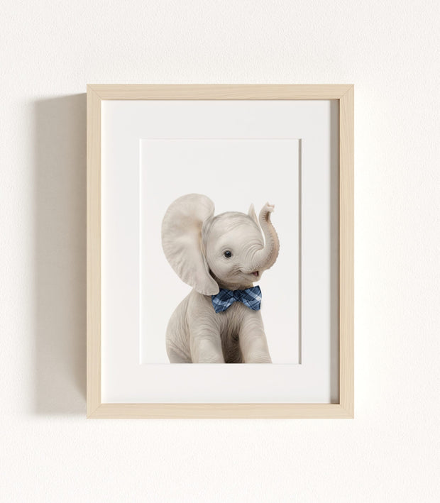 The Baby Animals 2026 Collection - Bow Ties in Blue