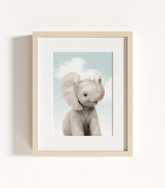 The Baby Animals 2026 Collection - Blue Skies