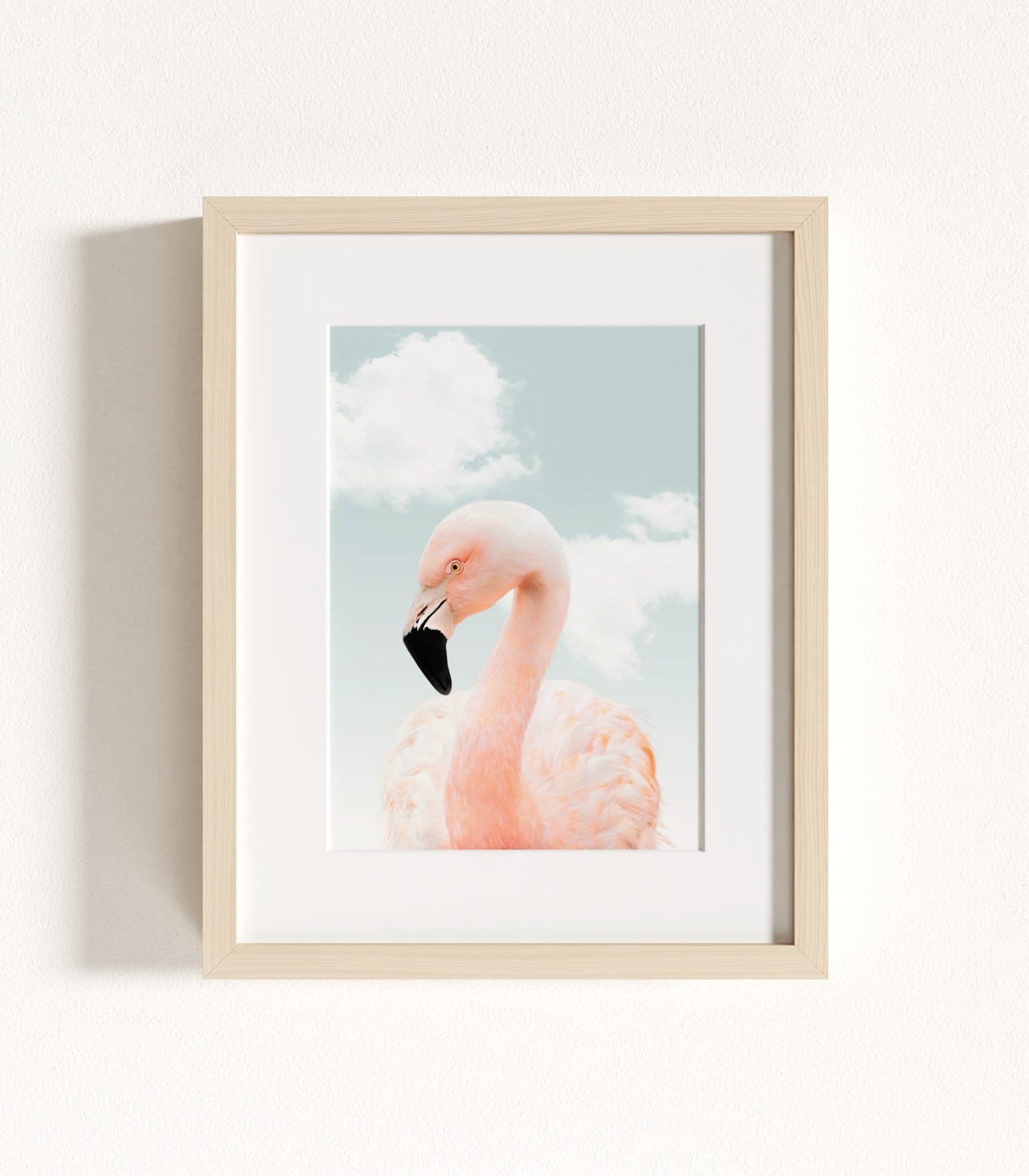 The Baby Animals 2026 Collection - Blue Skies