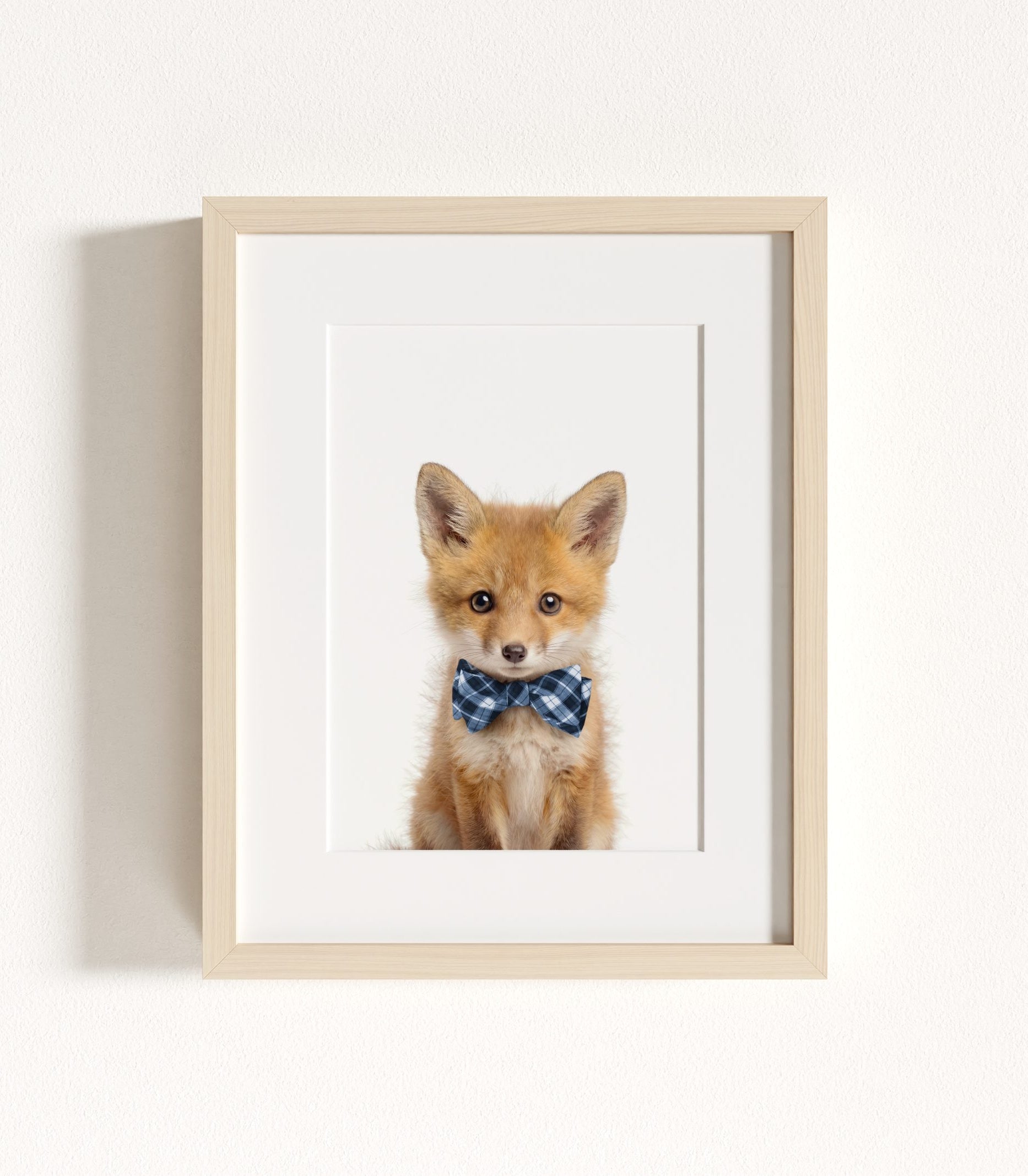 The Baby Animals 2026 Collection - Bow Ties in Blue