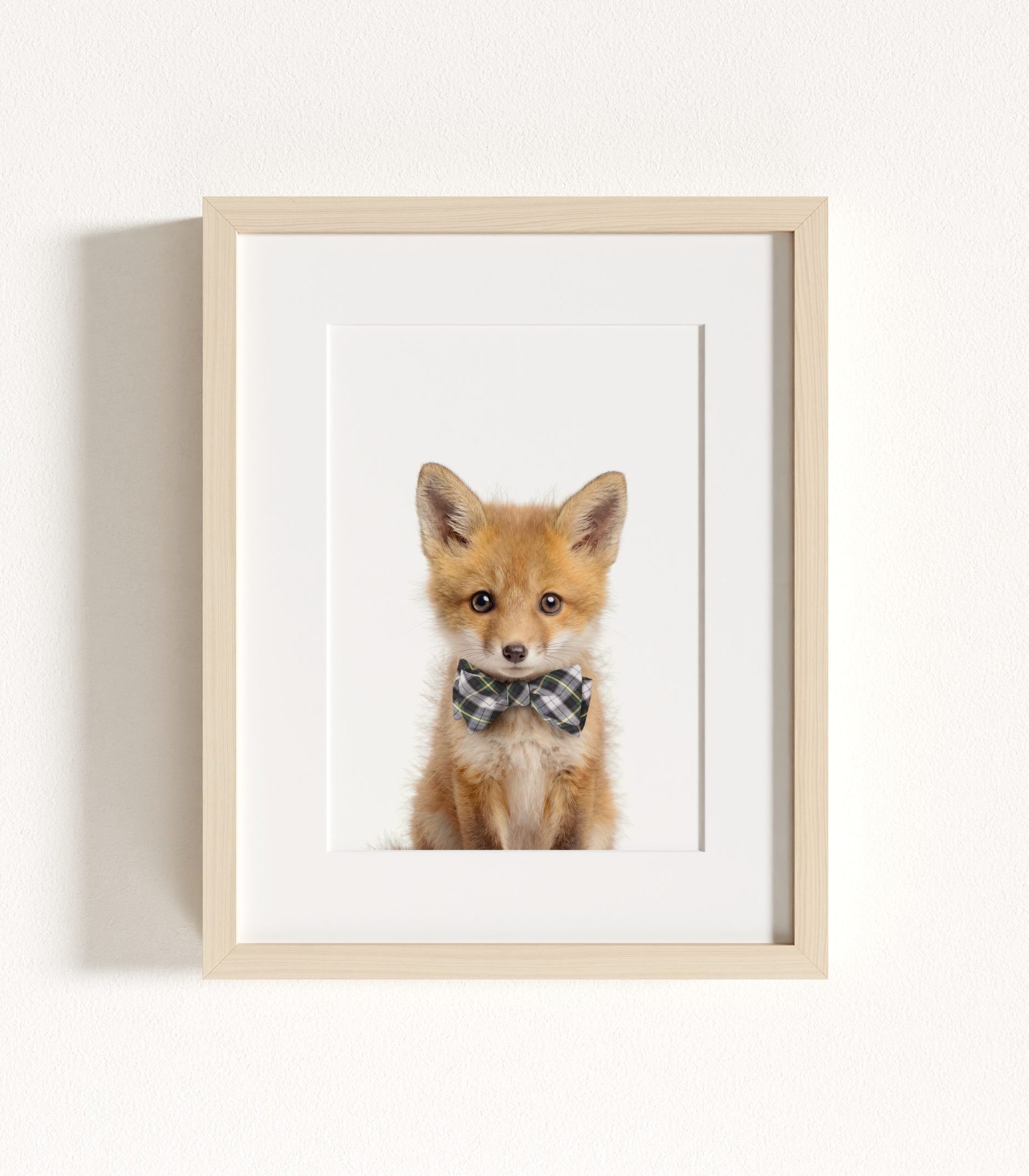 The Baby Animals 2026 Collection - Bow Ties
