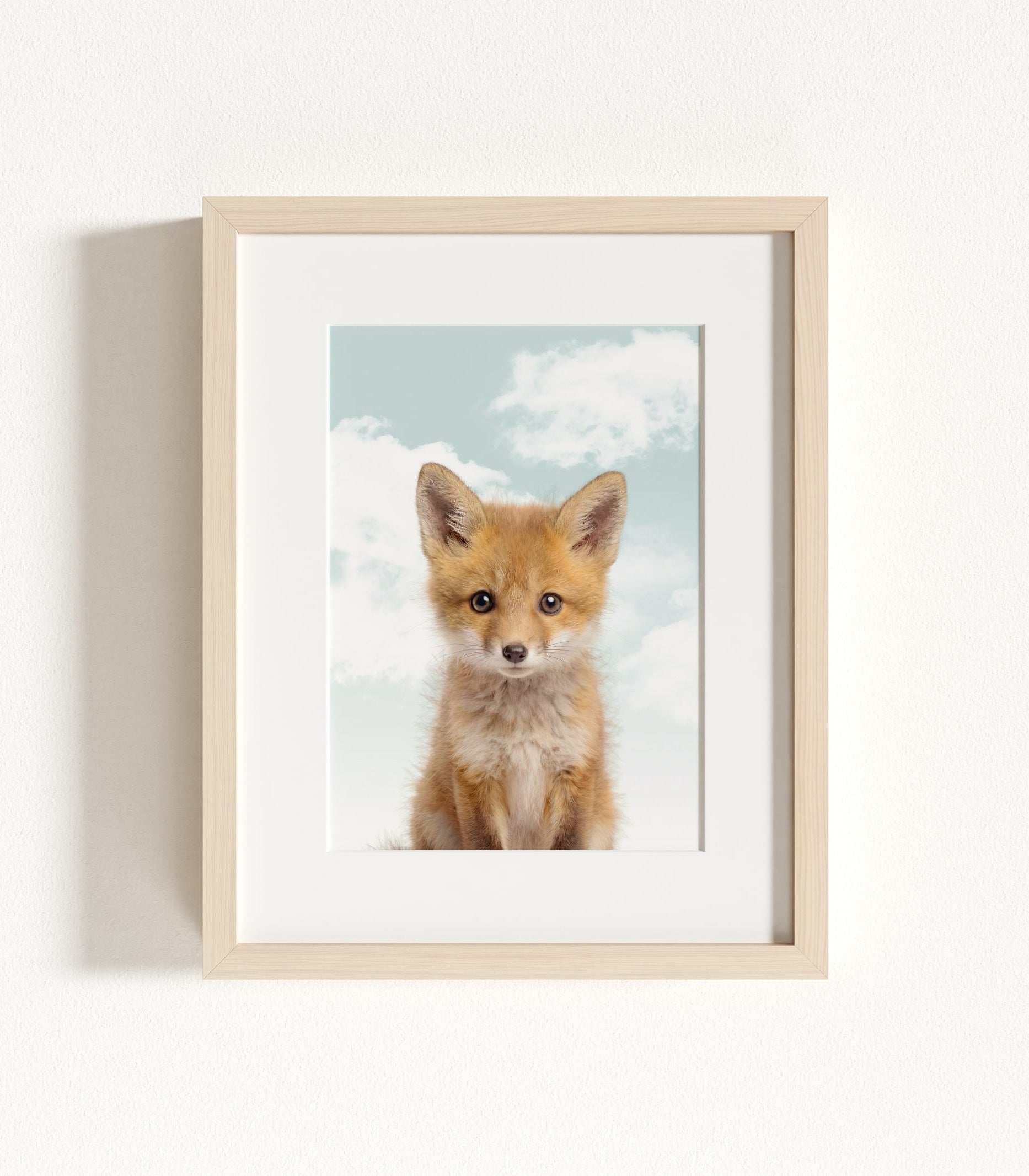 The Baby Animals 2026 Collection - Blue Skies