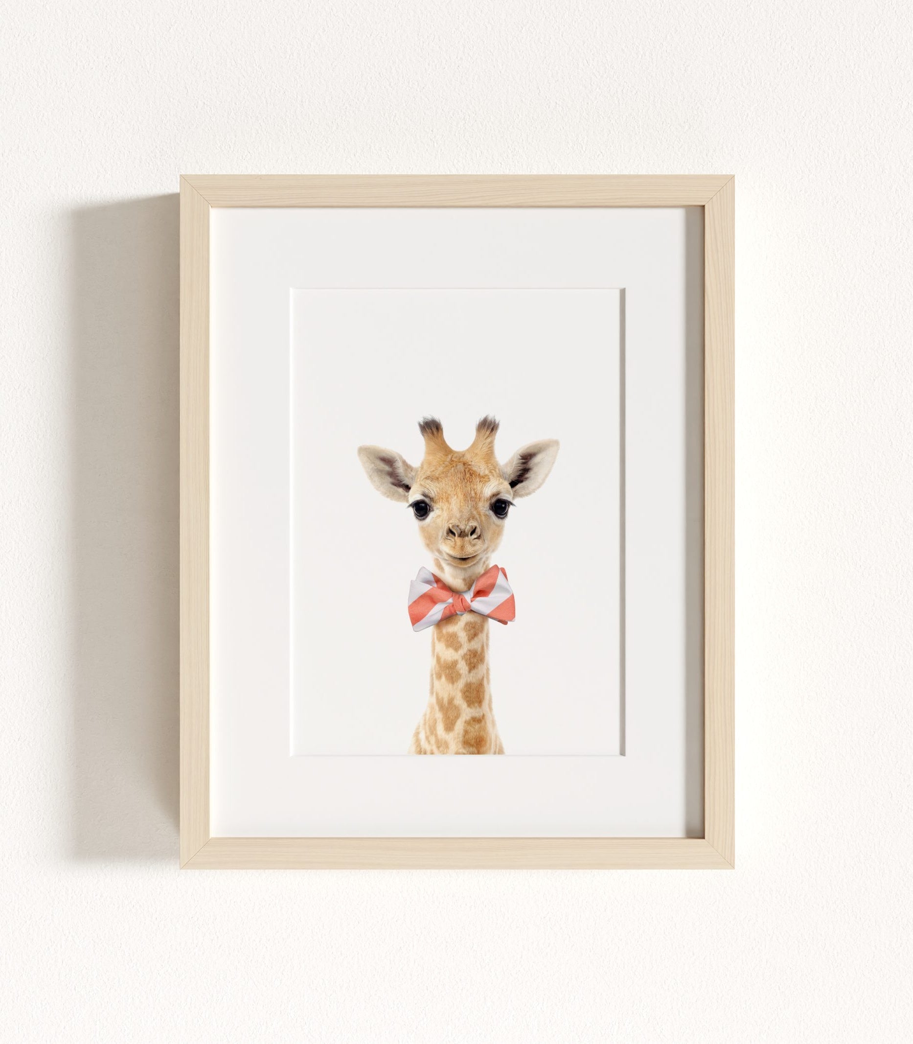 The Baby Animals 2026 Collection - Bow Ties