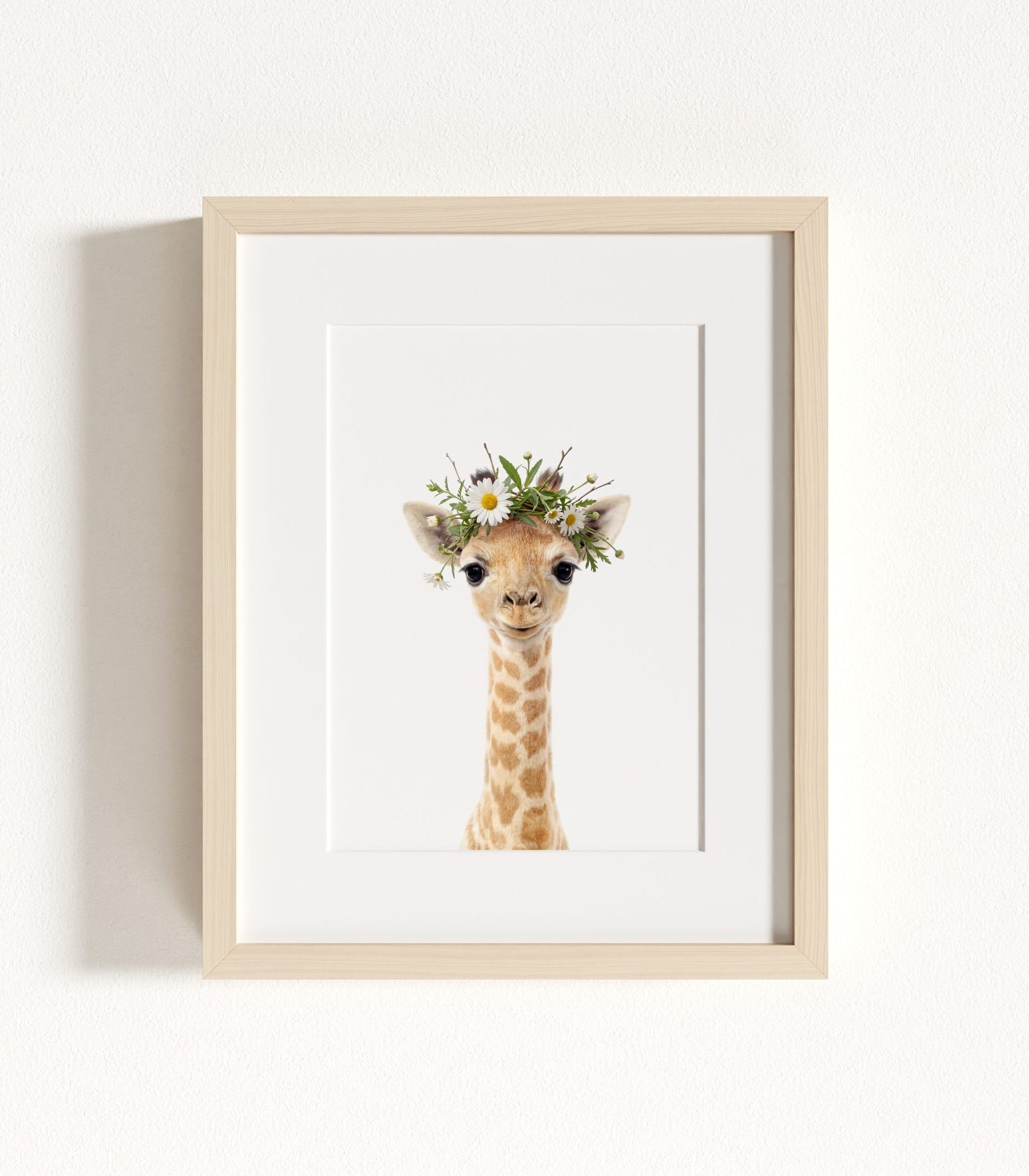 The Baby Animals 2026 Collection - Flower Crowns