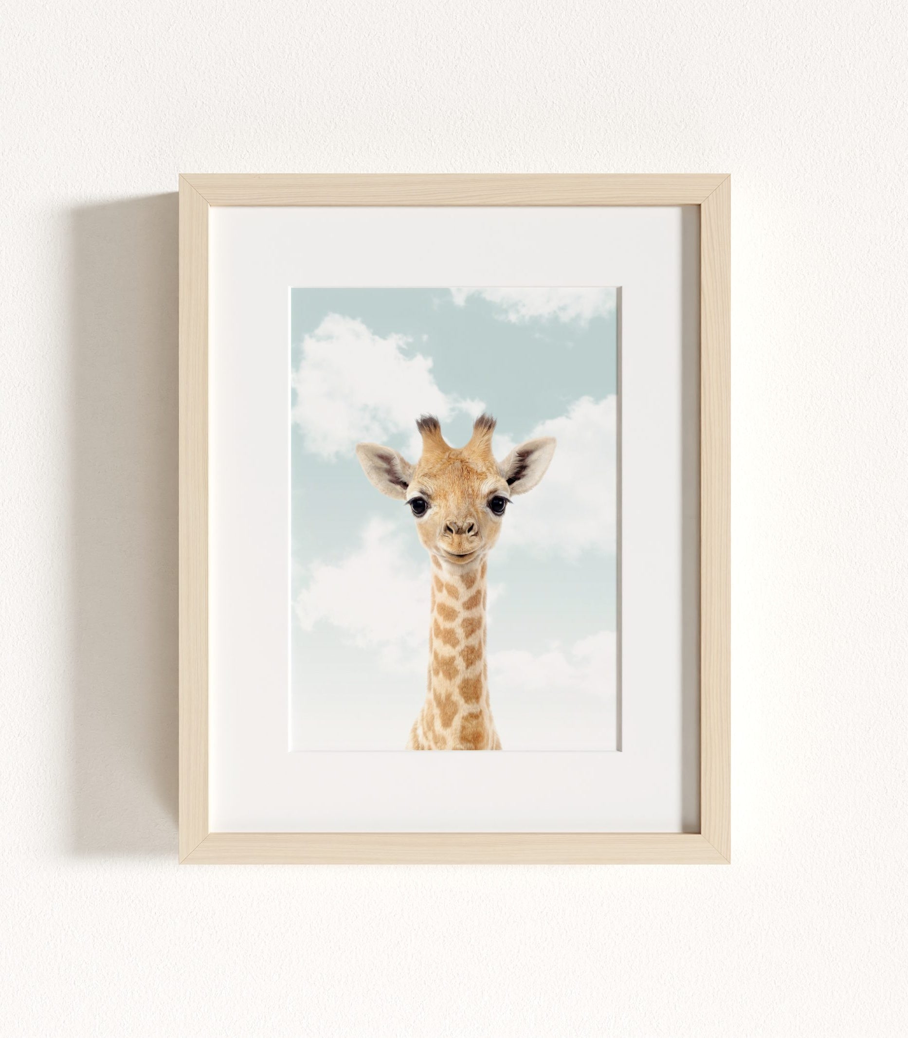 The Baby Animals 2026 Collection - Blue Skies