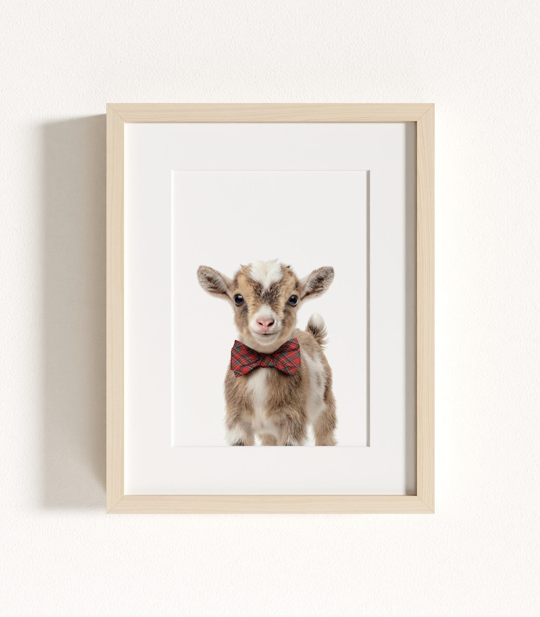The Baby Animals 2026 Collection - Bow Ties