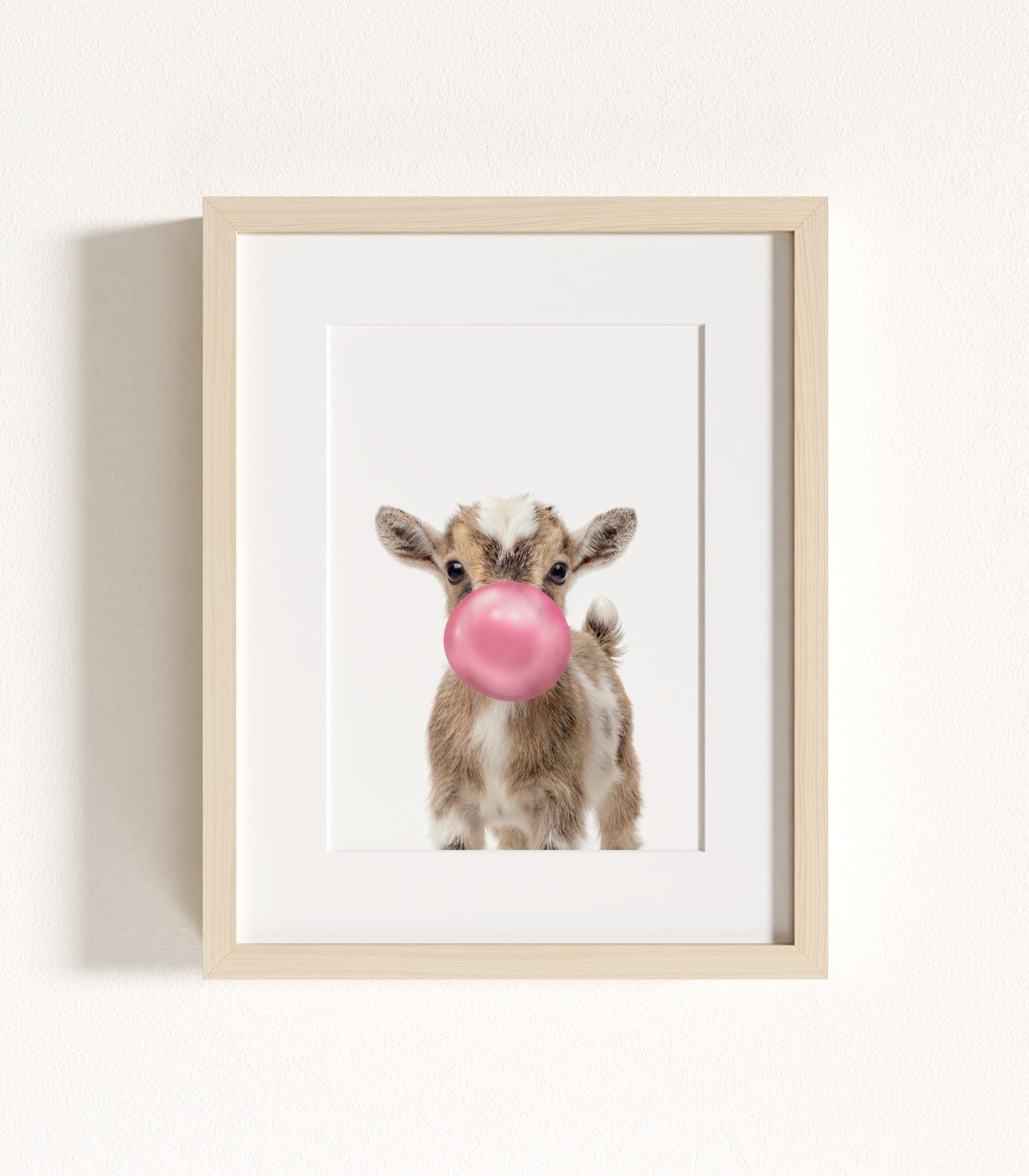 The Baby Animals 2026 Collection - Pink Bubblegum