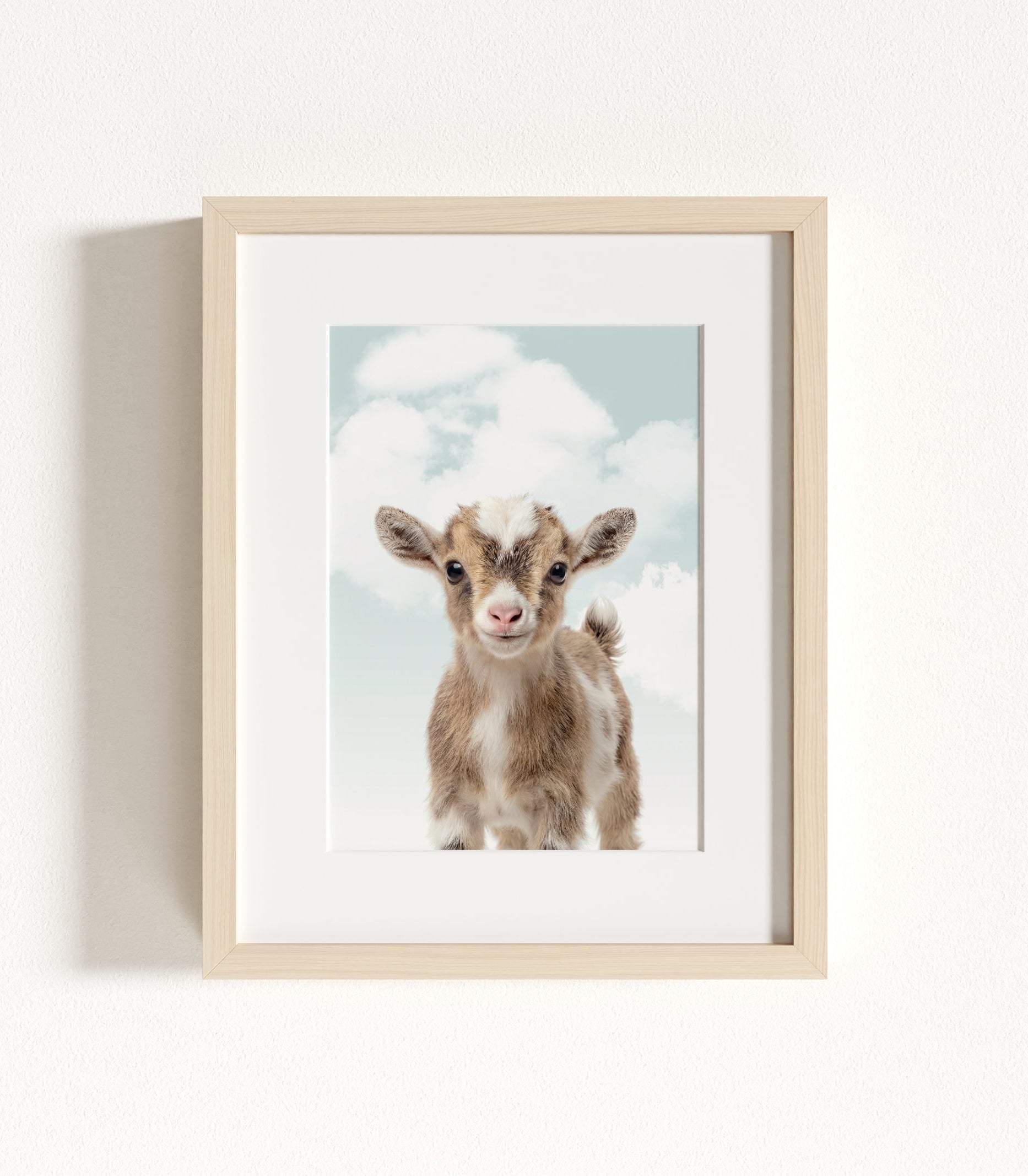 The Baby Animals 2026 Collection - Blue Skies