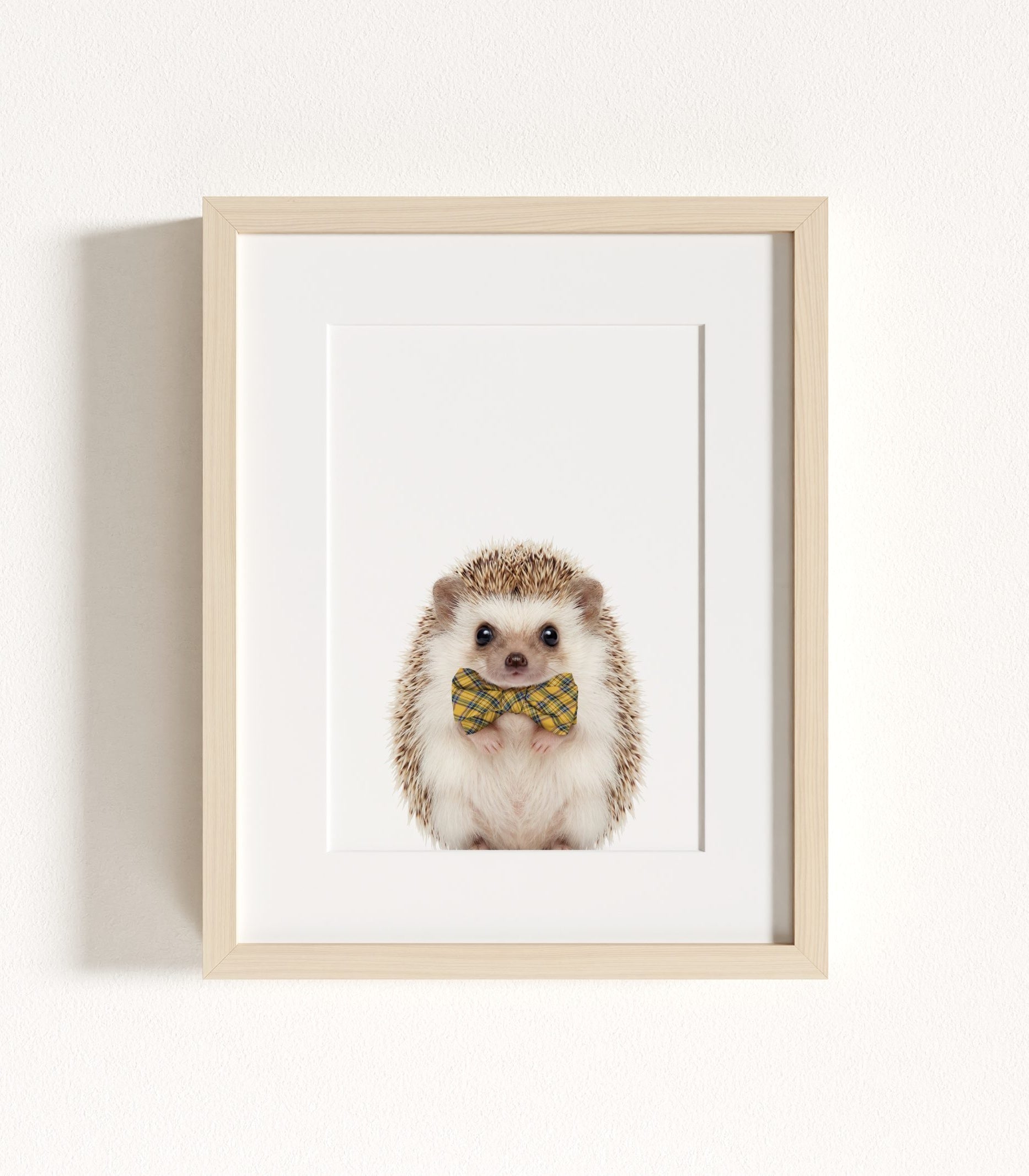 The Baby Animals 2026 Collection - Bow Ties