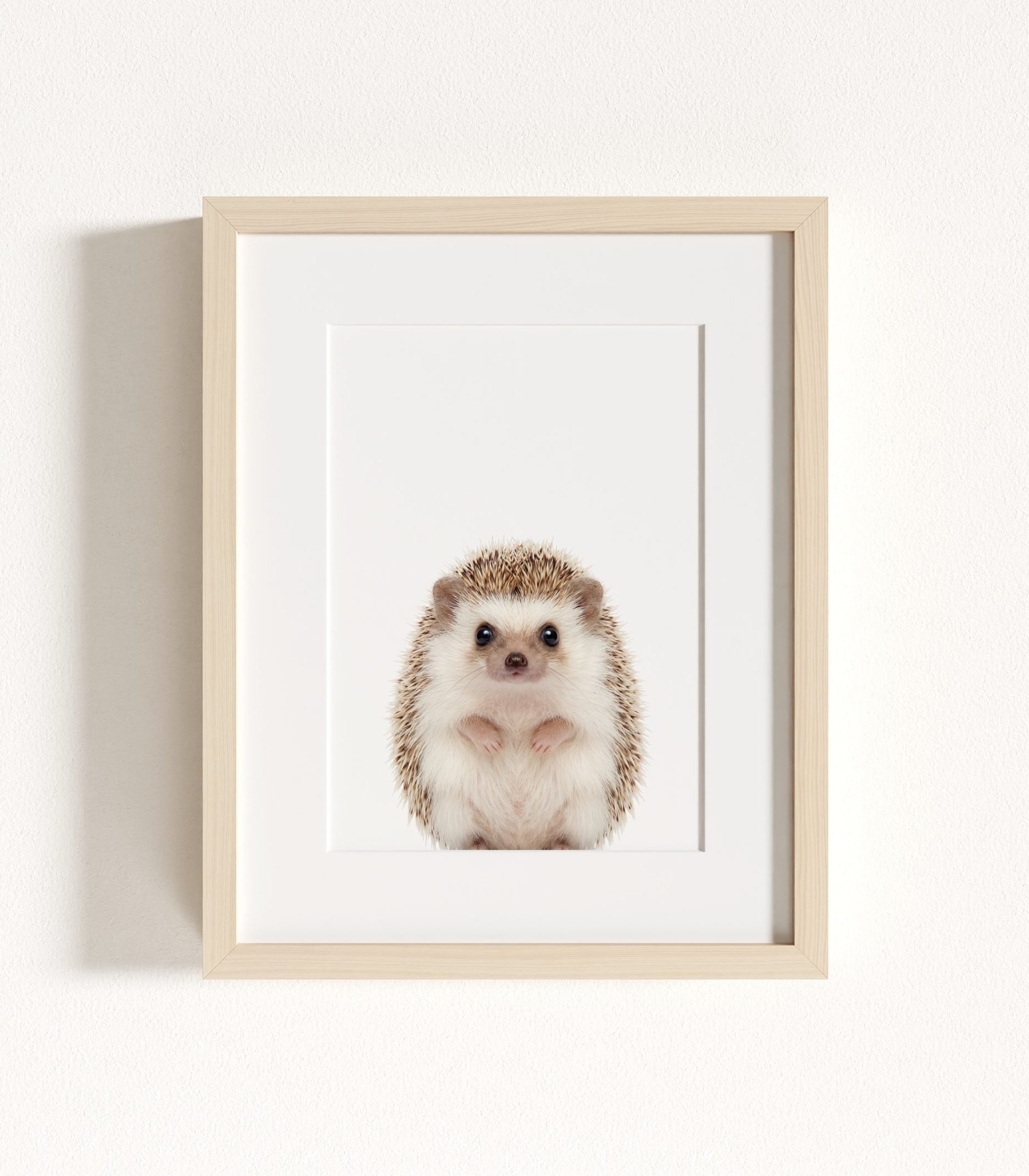 The Baby Animals 2026 Collection - Classic