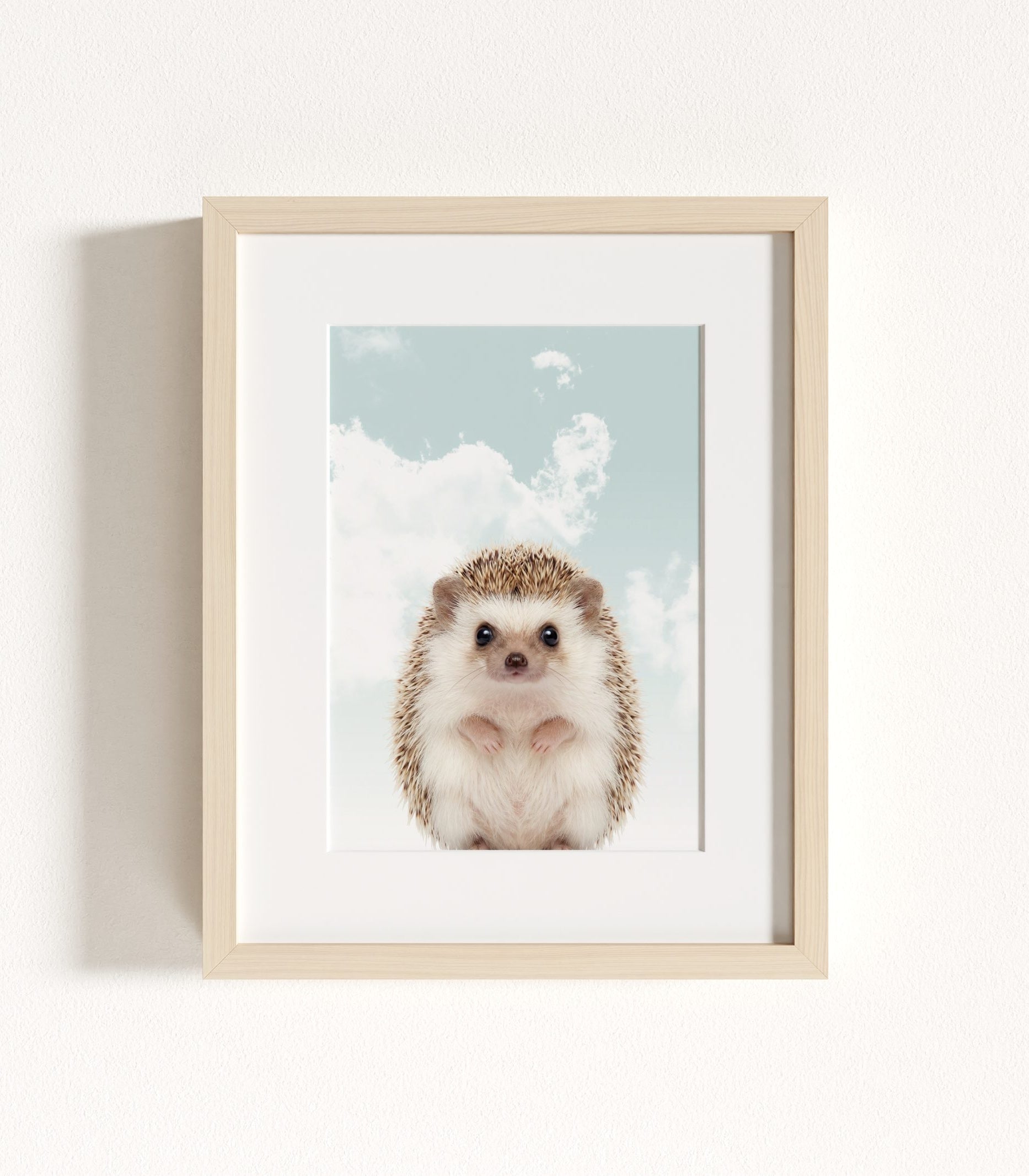 The Baby Animals 2026 Collection - Blue Skies