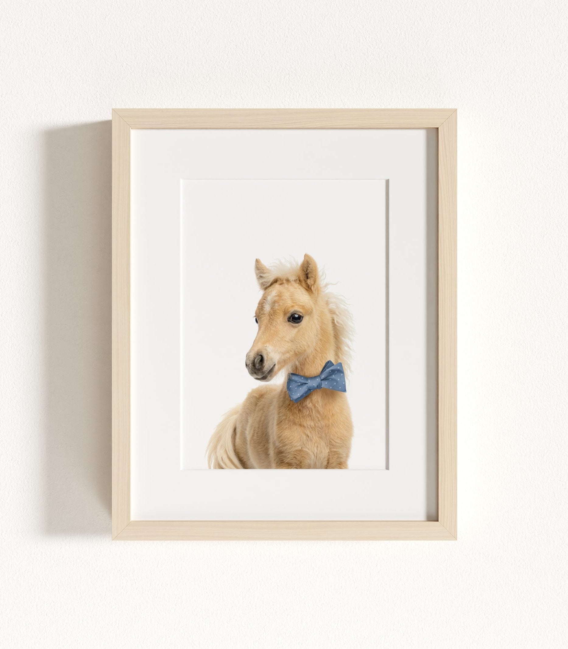 The Baby Animals 2026 Collection - Bow Ties in Blue