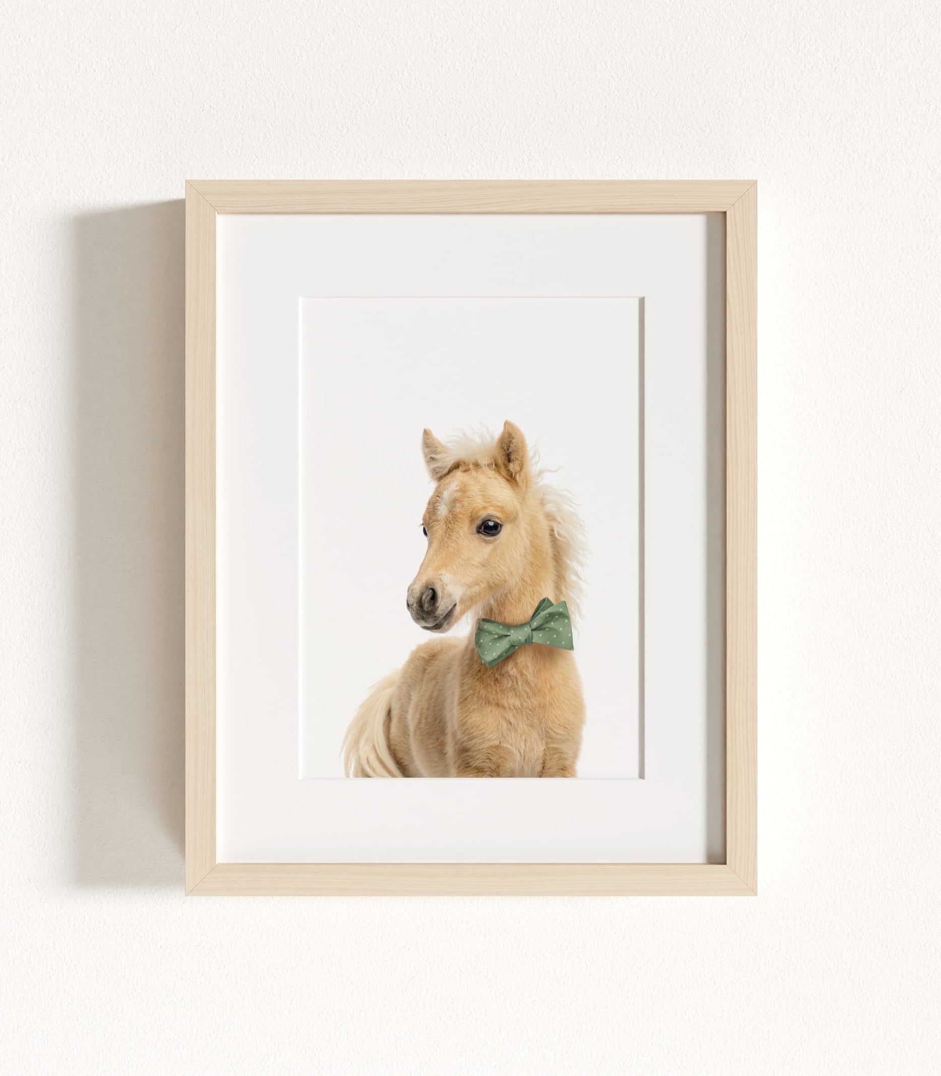 The Baby Animals 2026 Collection - Bow Ties