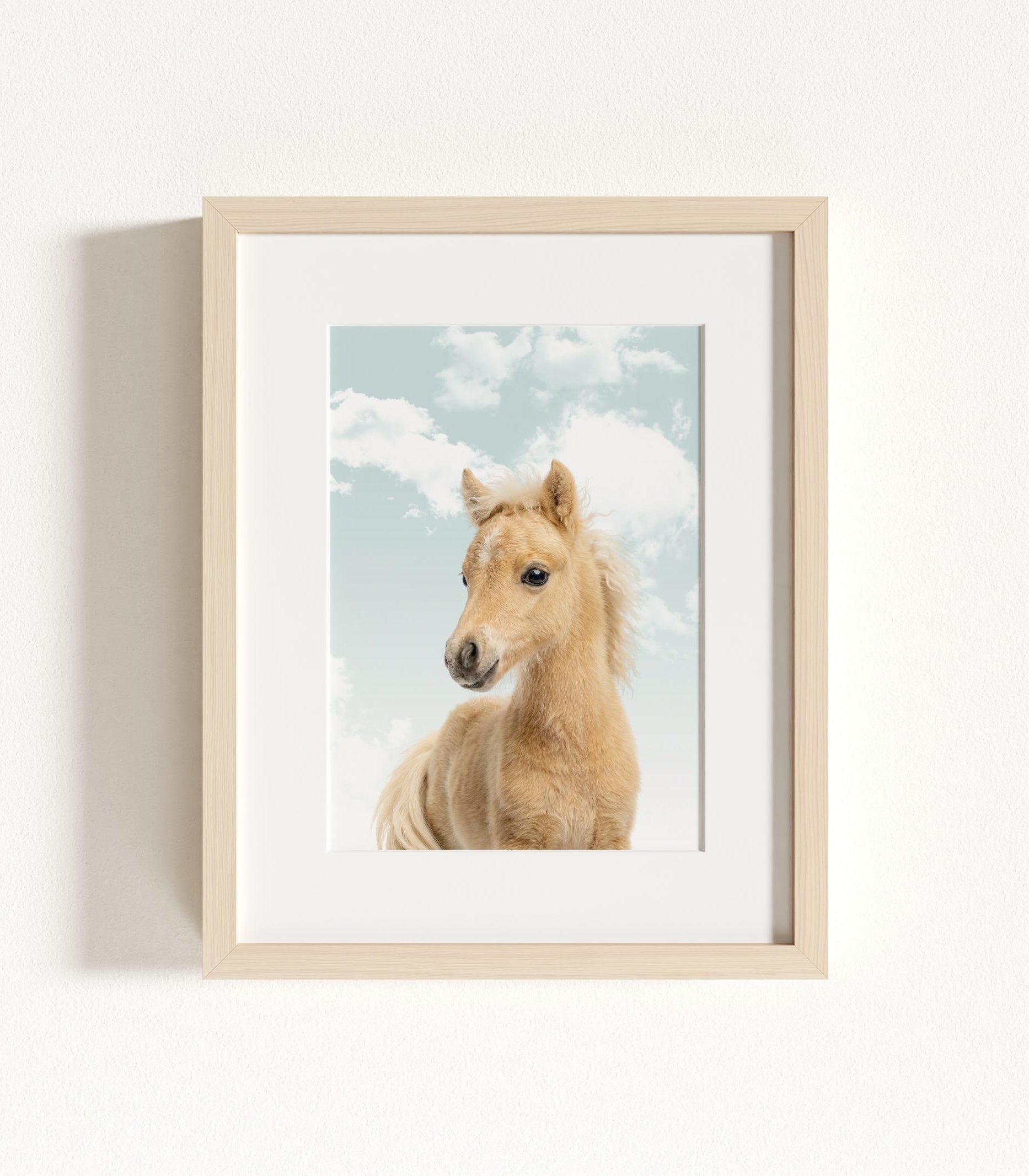 The Baby Animals 2026 Collection - Blue Skies