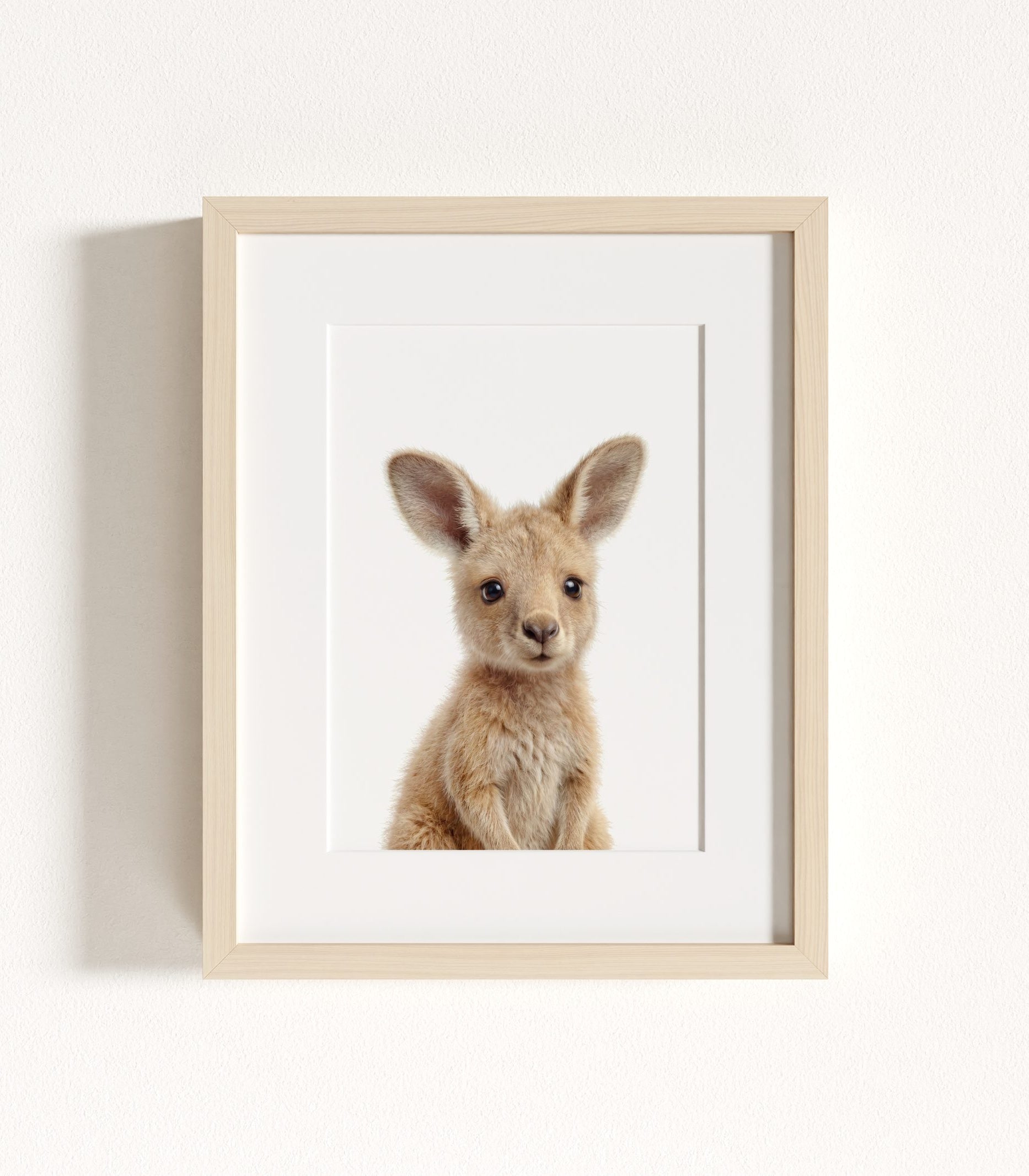 The Baby Animals 2026 Collection - Classic