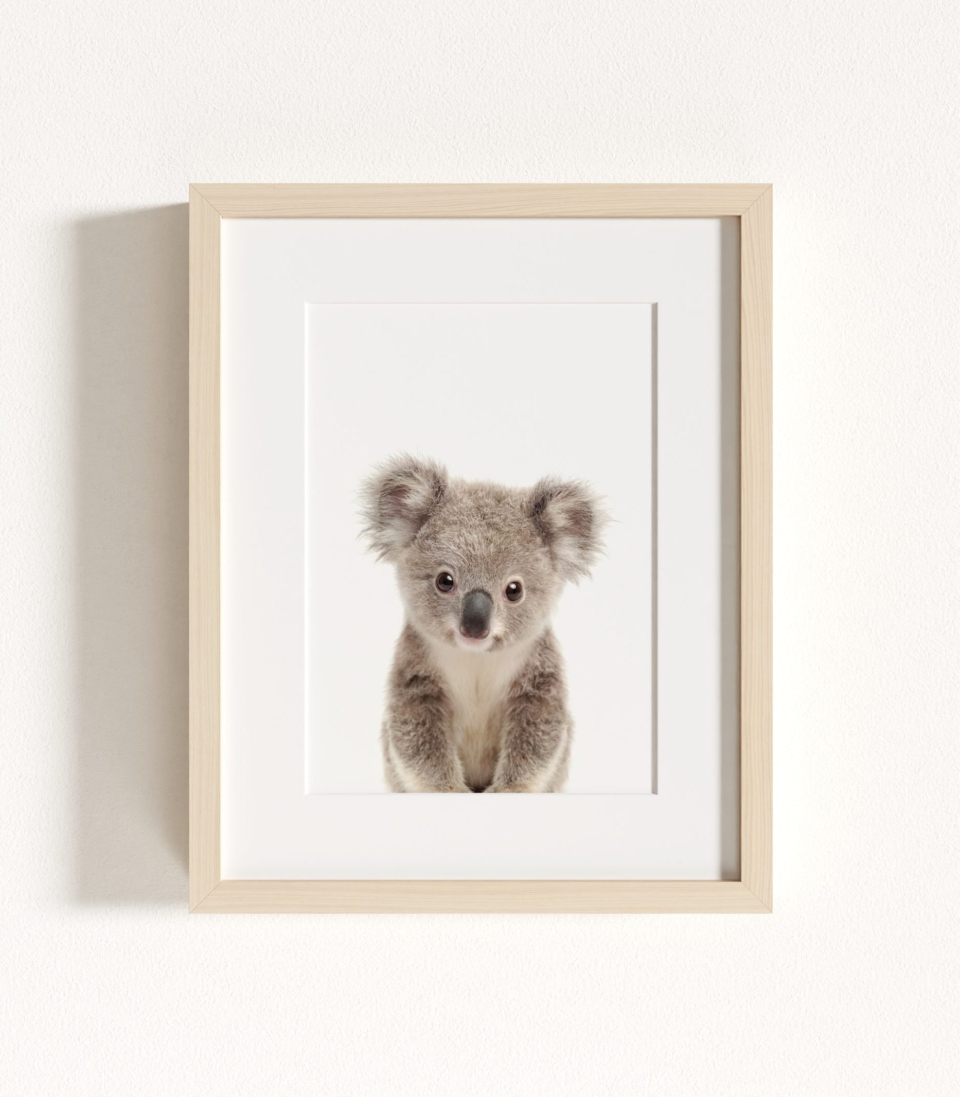 The Baby Animals 2026 Collection - Classic