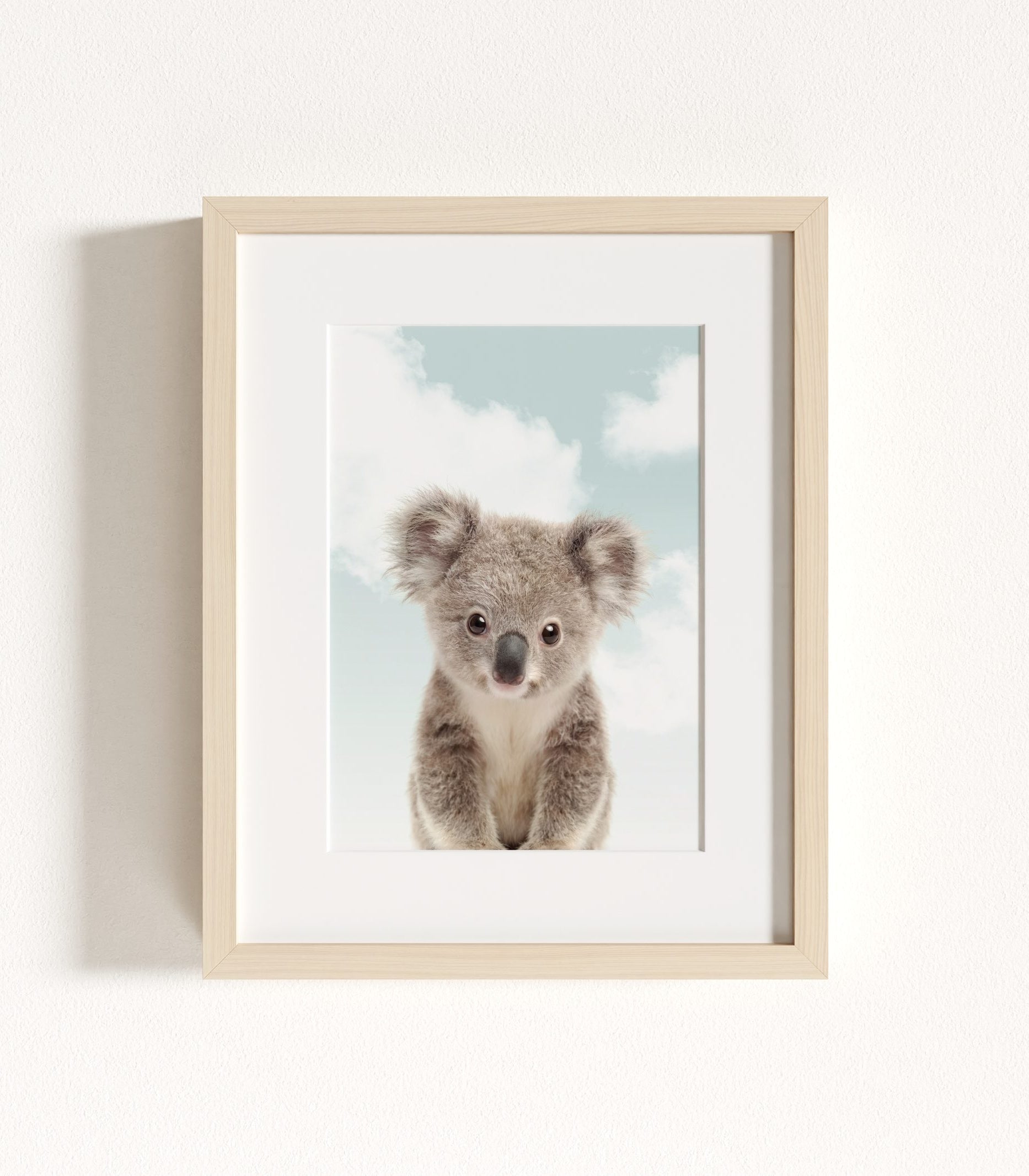 The Baby Animals 2026 Collection - Blue Skies