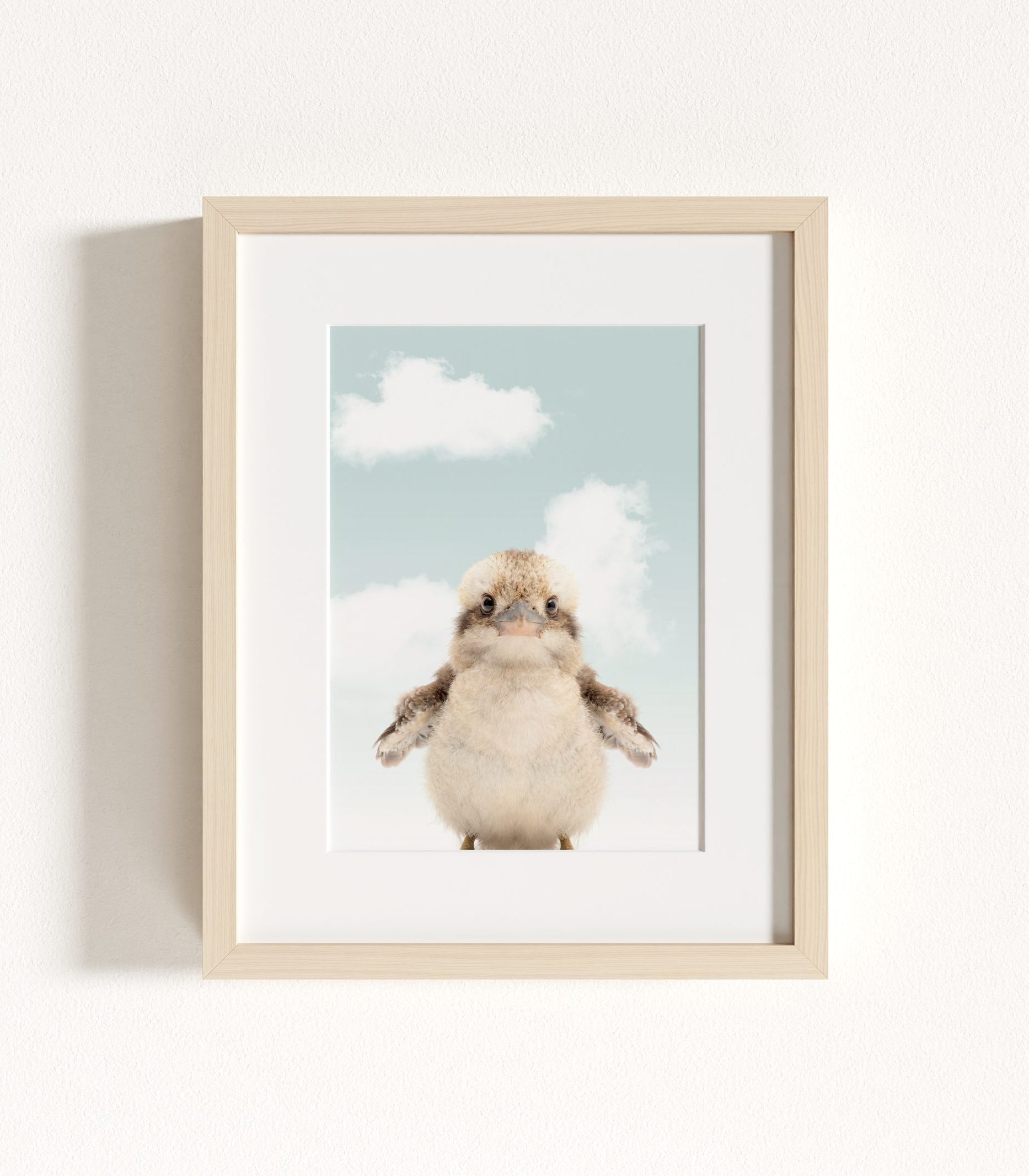 The Baby Animals 2026 Collection - Blue Skies