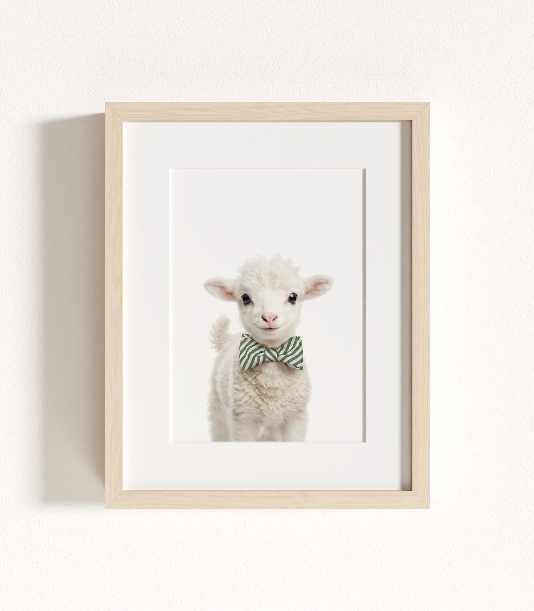 The Baby Animals 2026 Collection - Bow Ties