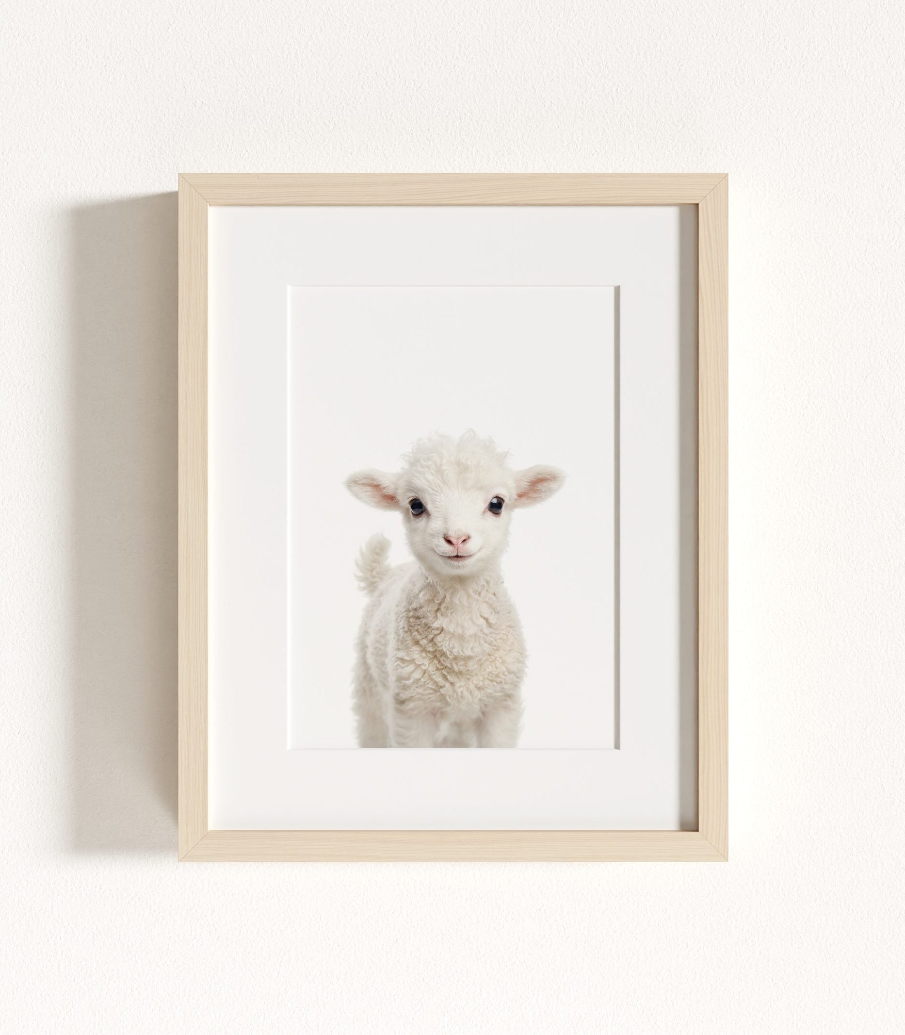 The Baby Animals 2026 Collection - Classic