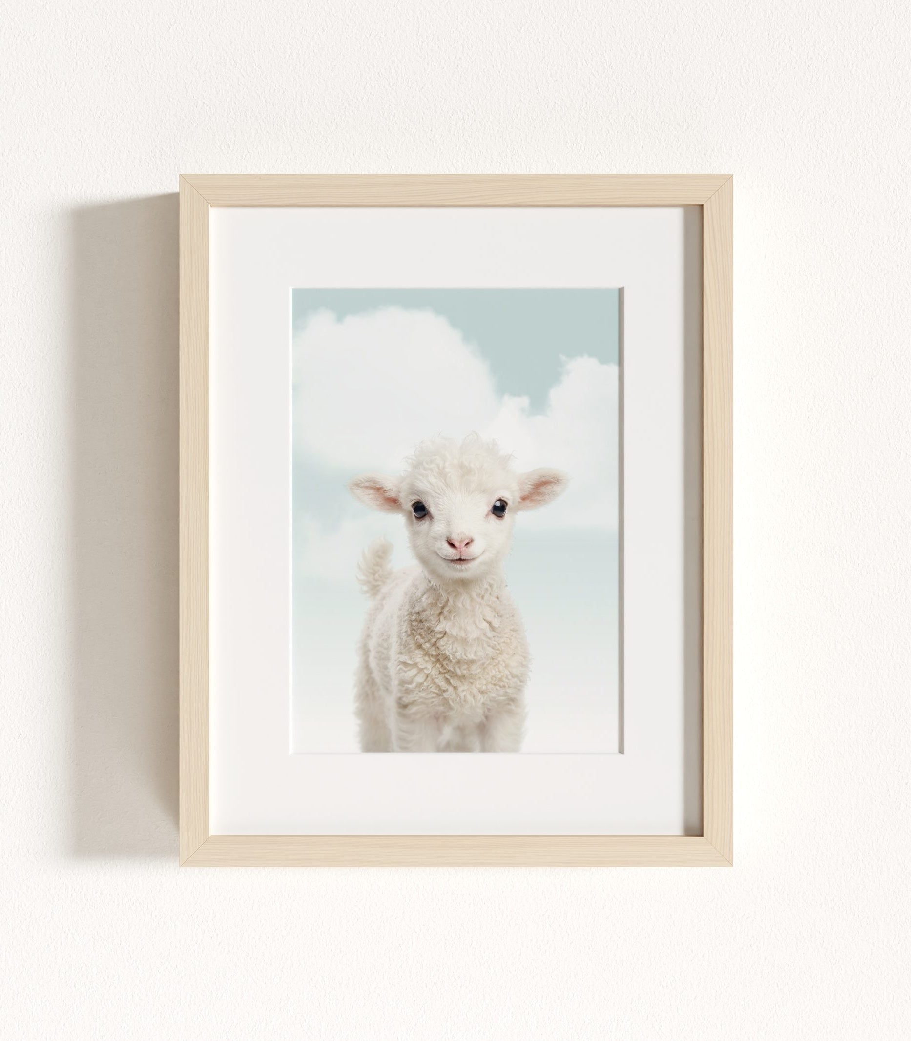 The Baby Animals 2026 Collection - Blue Skies