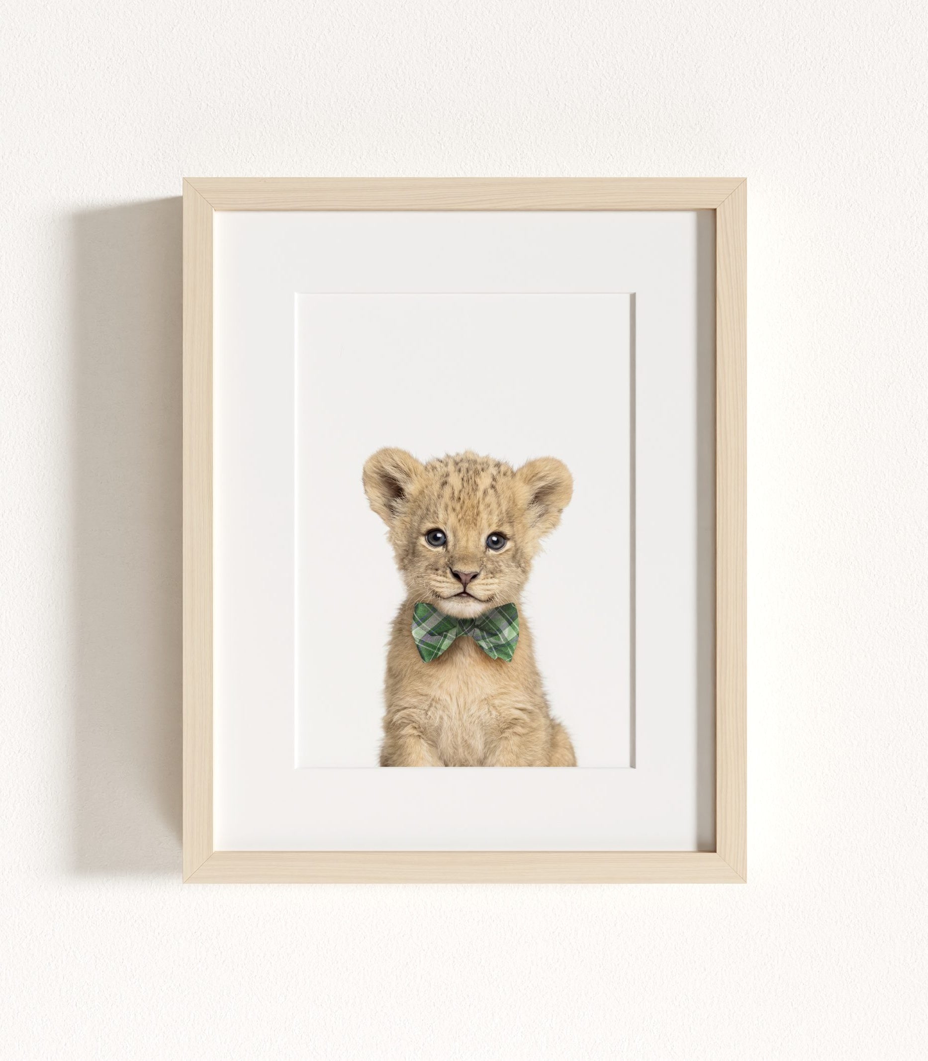 The Baby Animals 2026 Collection - Bow Ties