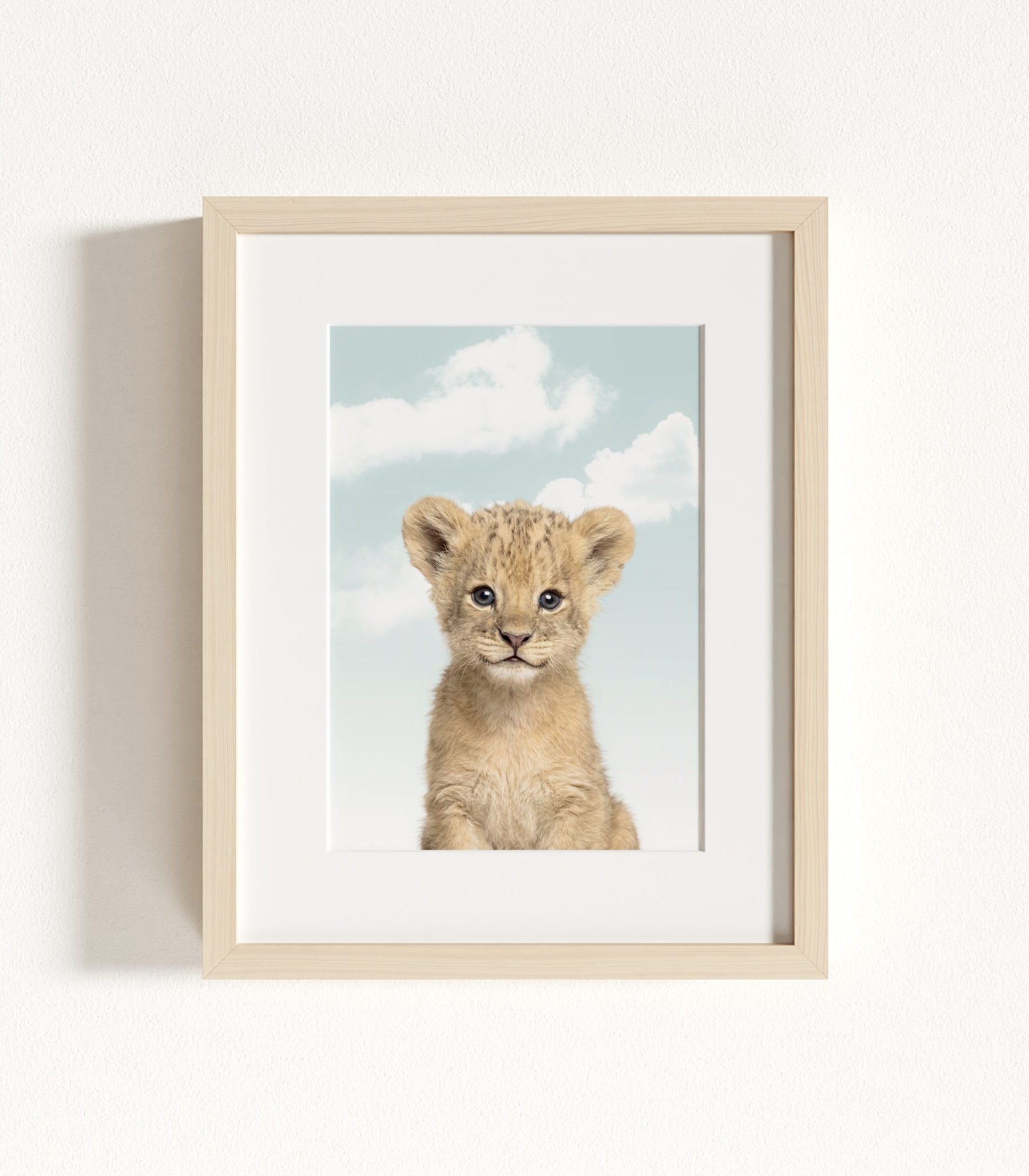 The Baby Animals 2026 Collection - Blue Skies