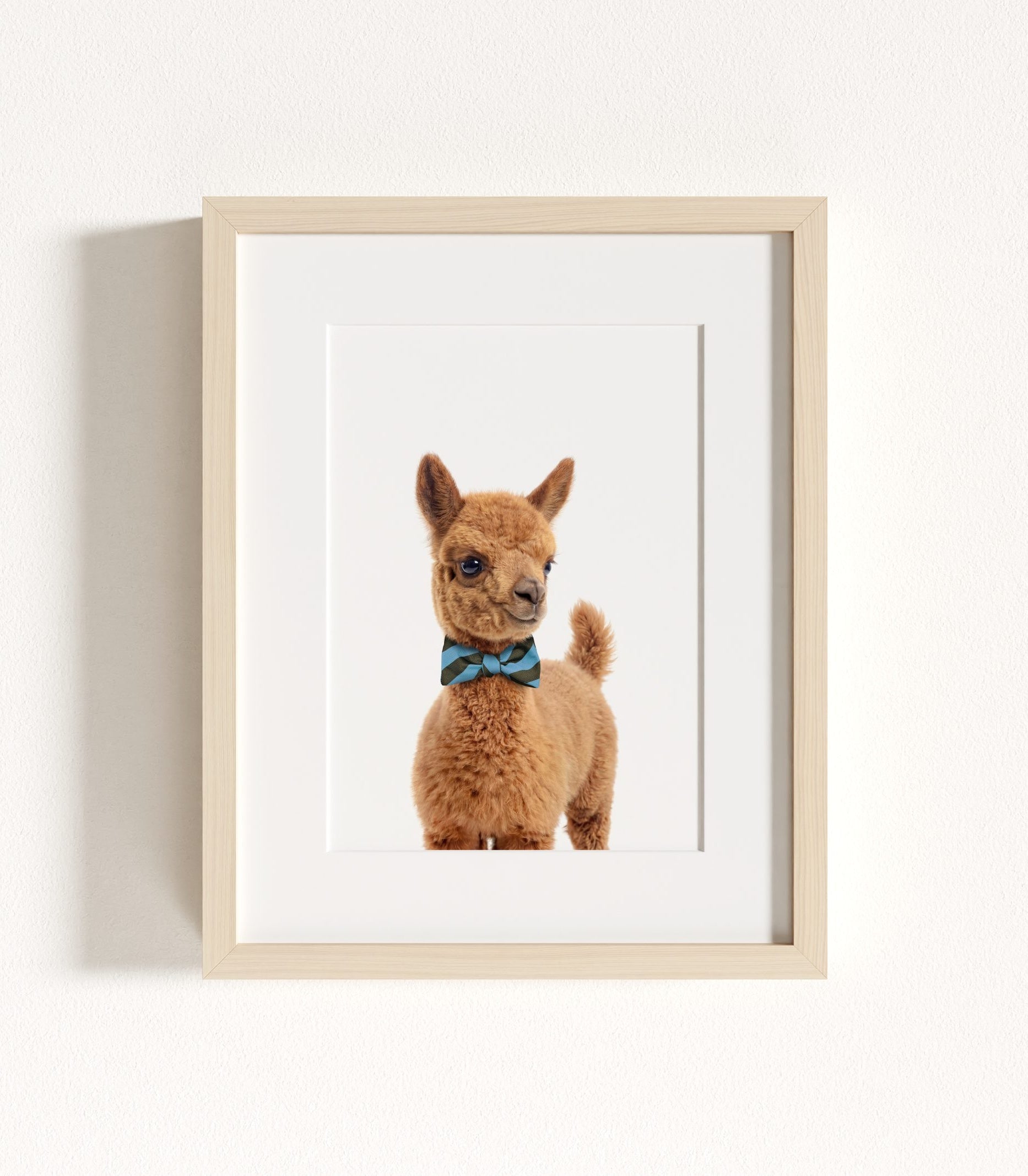 The Baby Animals 2026 Collection - Bow Ties