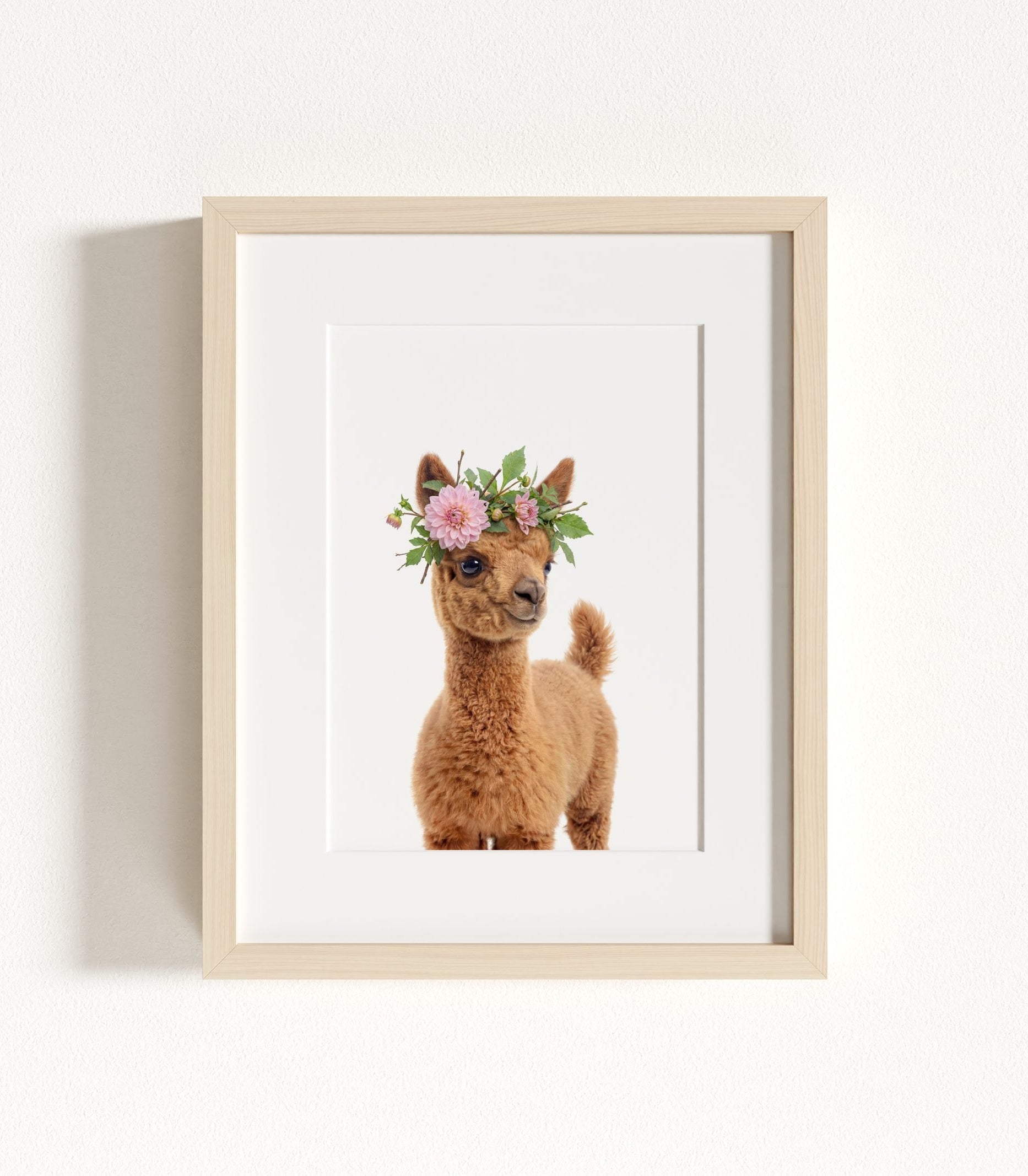 The Baby Animals 2026 Collection - Flower Crowns