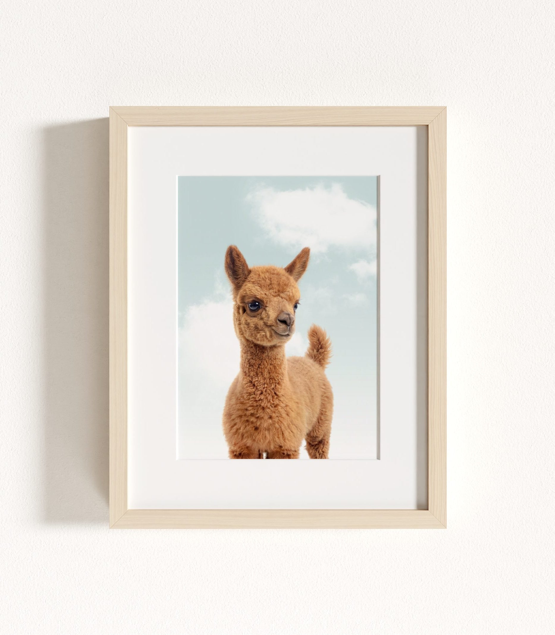 The Baby Animals 2026 Collection - Blue Skies