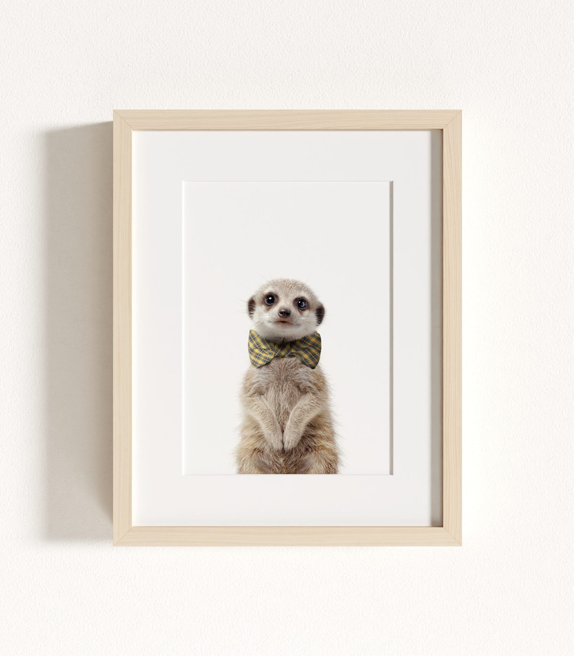 The Baby Animals 2026 Collection - Bow Ties