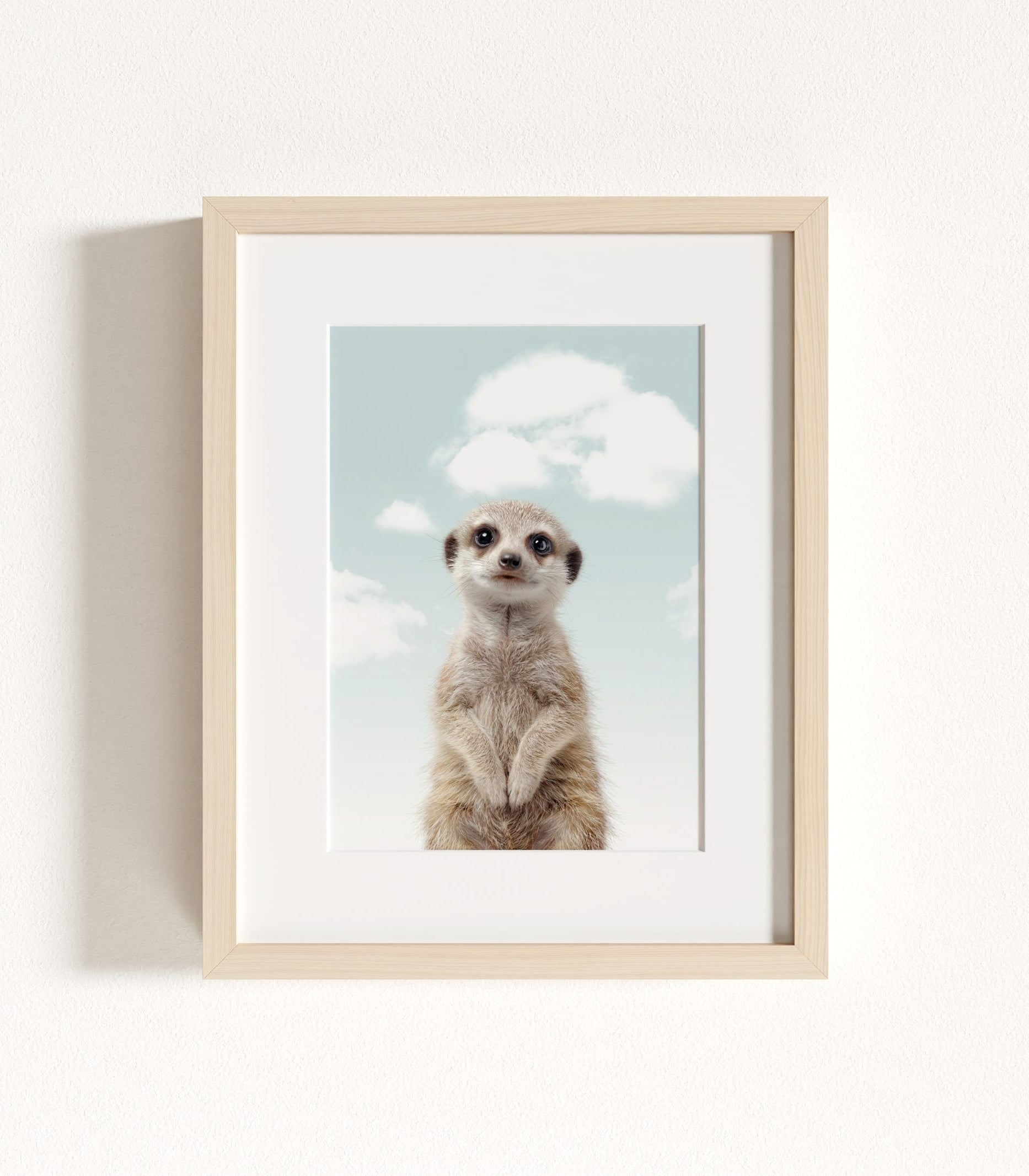 The Baby Animals 2026 Collection - Blue Skies