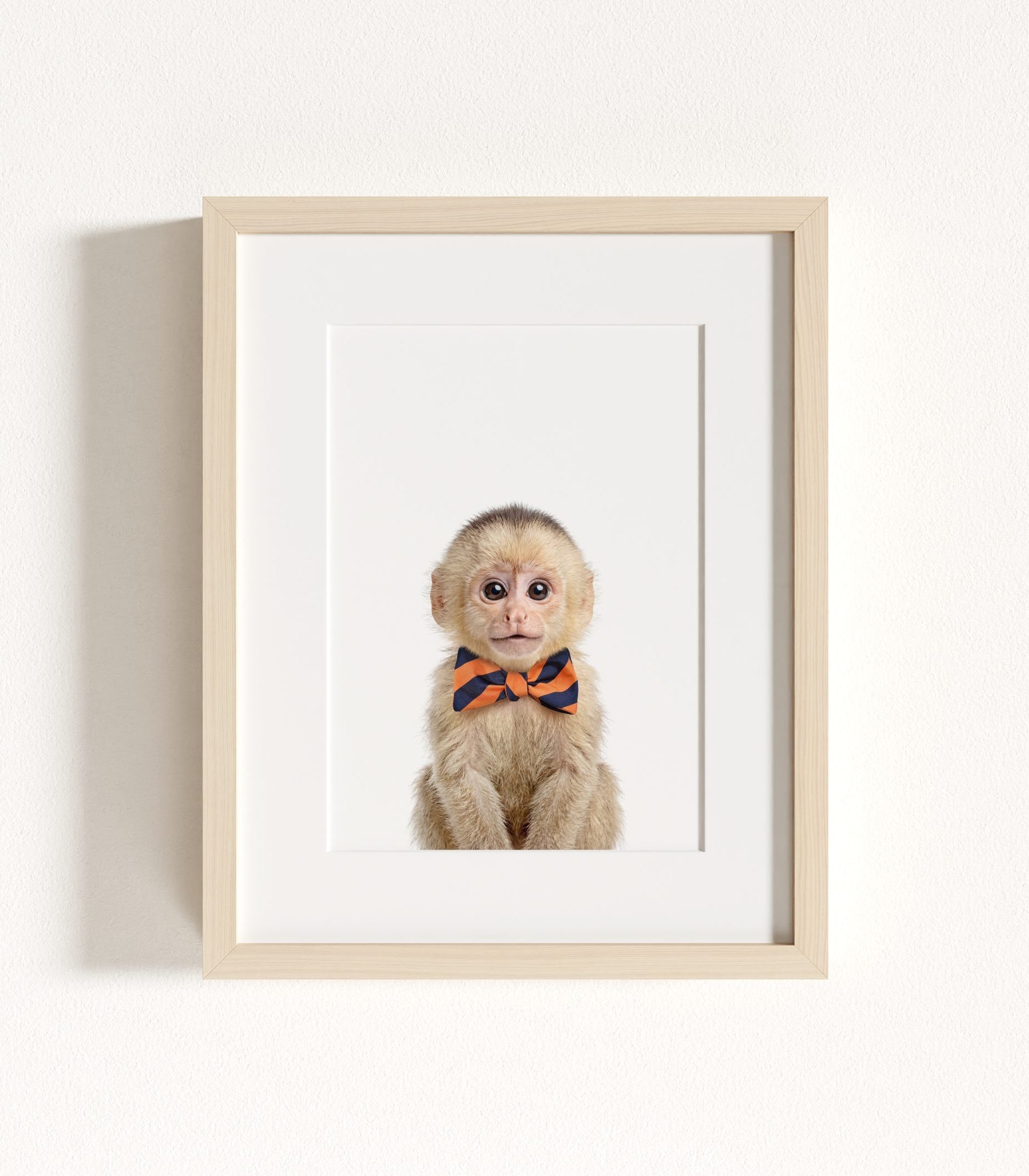 The Baby Animals 2026 Collection - Bow Ties