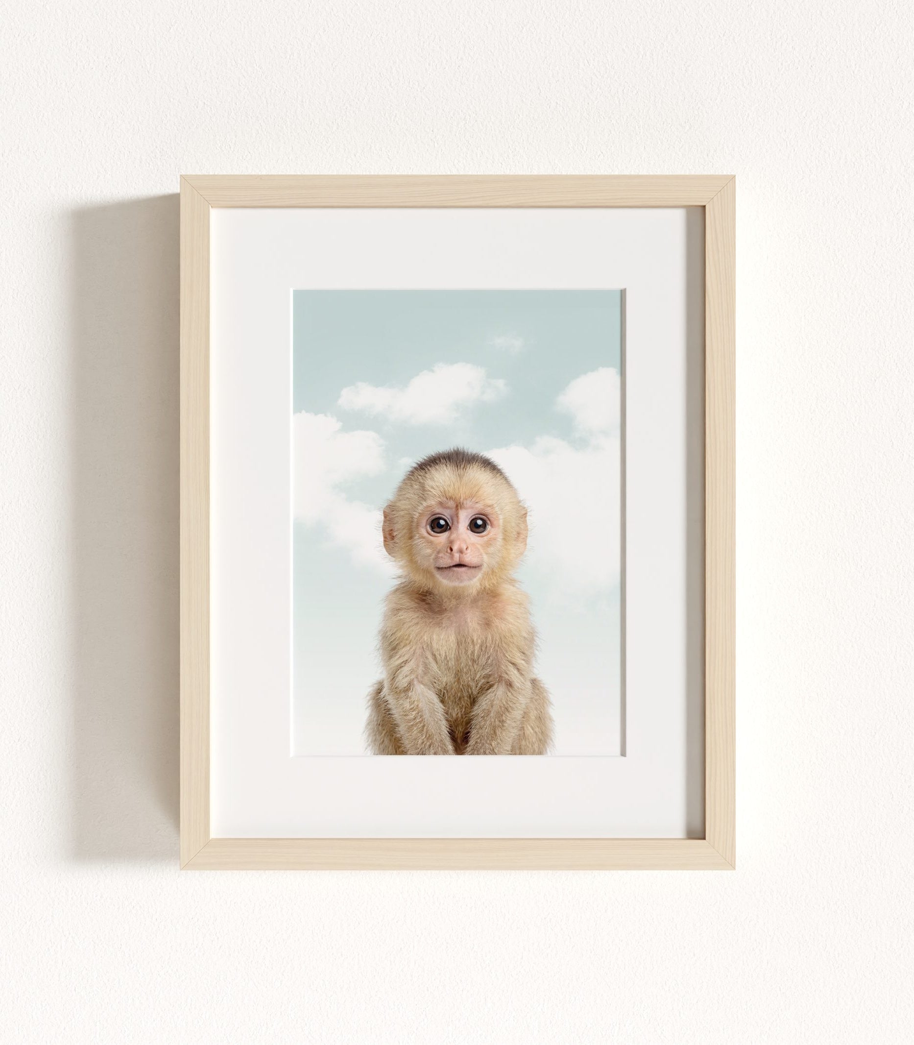 The Baby Animals 2026 Collection - Blue Skies