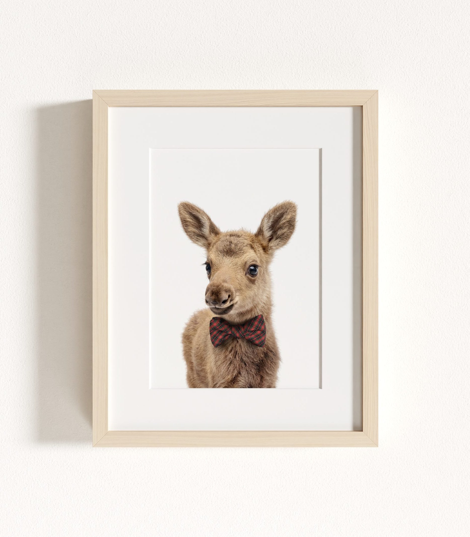 The Baby Animals 2026 Collection - Bow Ties