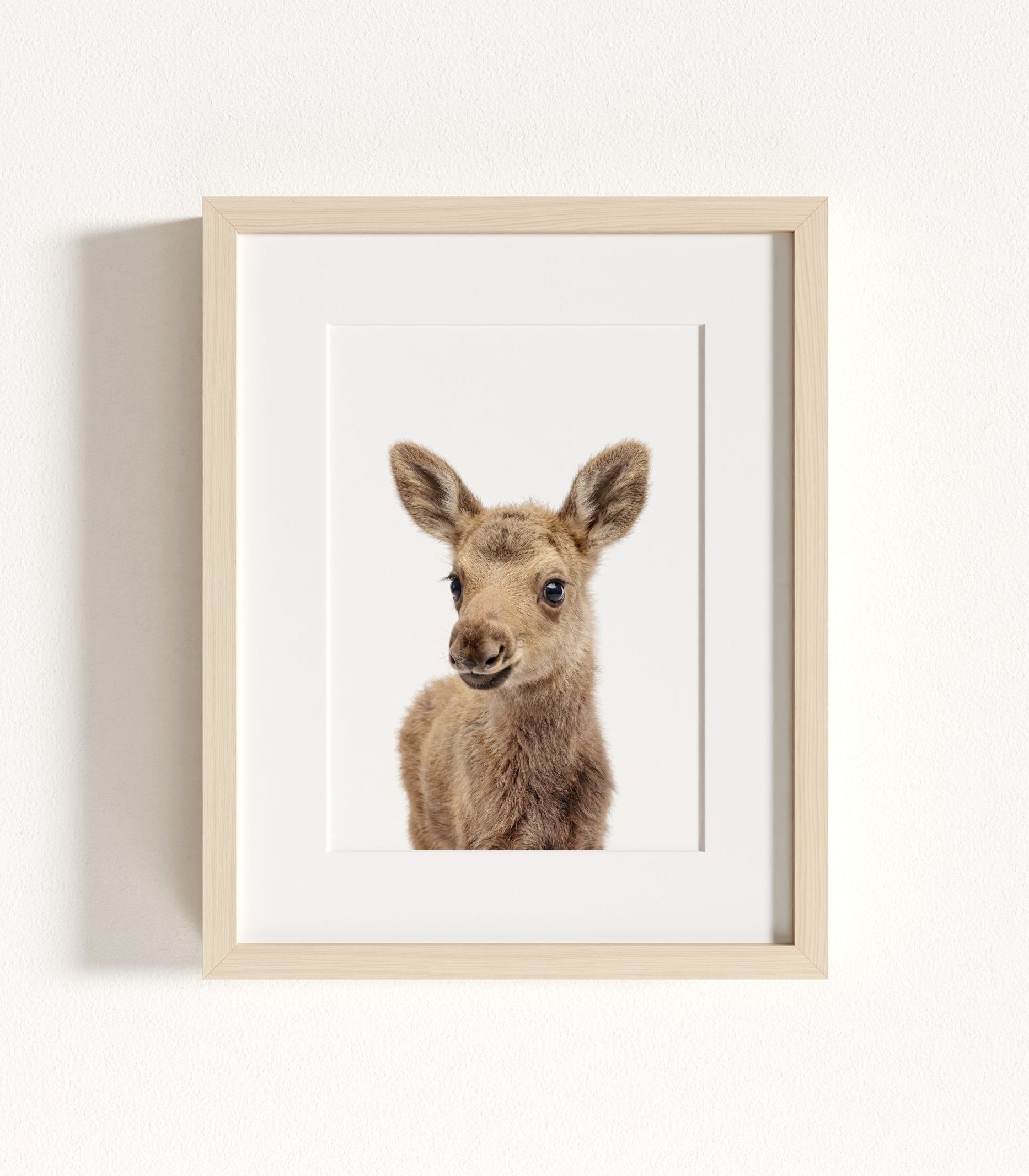 The Baby Animals 2026 Collection - Classic