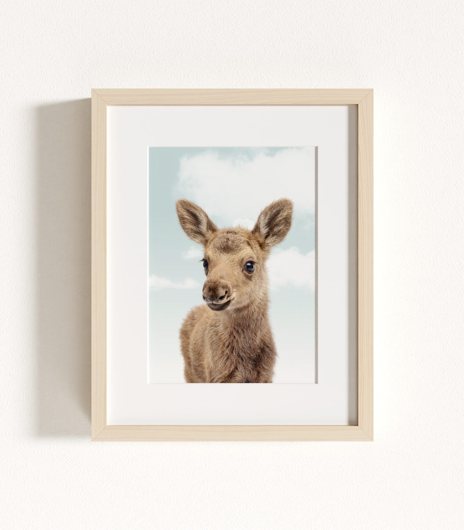 The Baby Animals 2026 Collection - Blue Skies